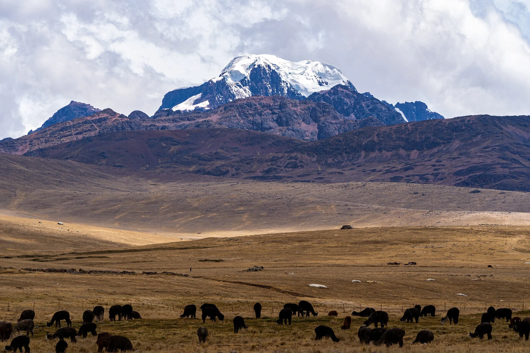 Andes Mountains Peru Quechua Benefit Picotani Spar Macusani Alpaca
