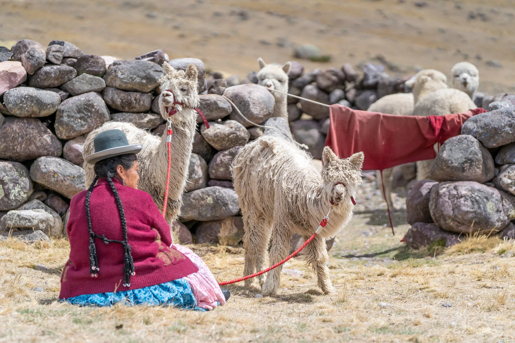 Andes Mountains Peru Quechua Benefit Picotani Spar Macusani Alpaca