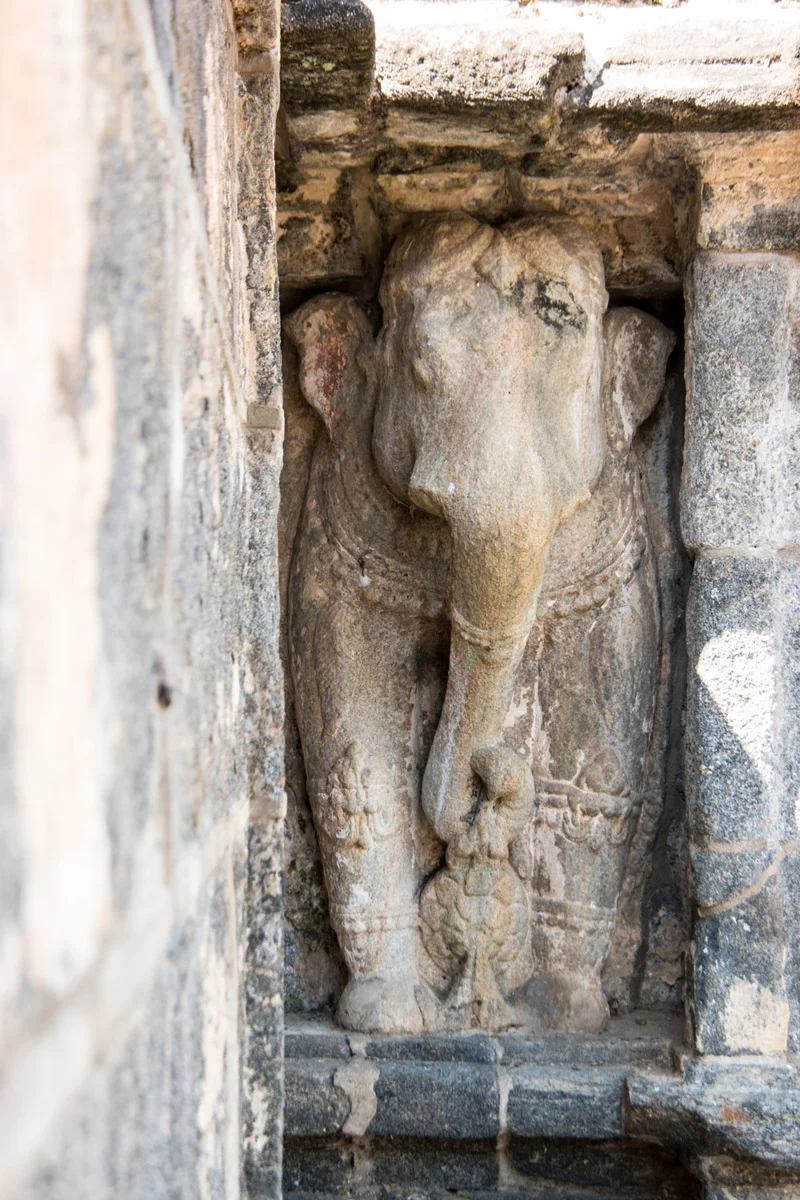 Kandy Sri Lanka February2015 Samsung NX1 200mm
