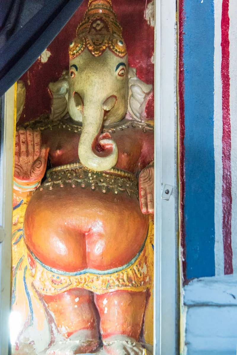 Kandy Sri Lanka February2015 Samsung NX1 200mm
