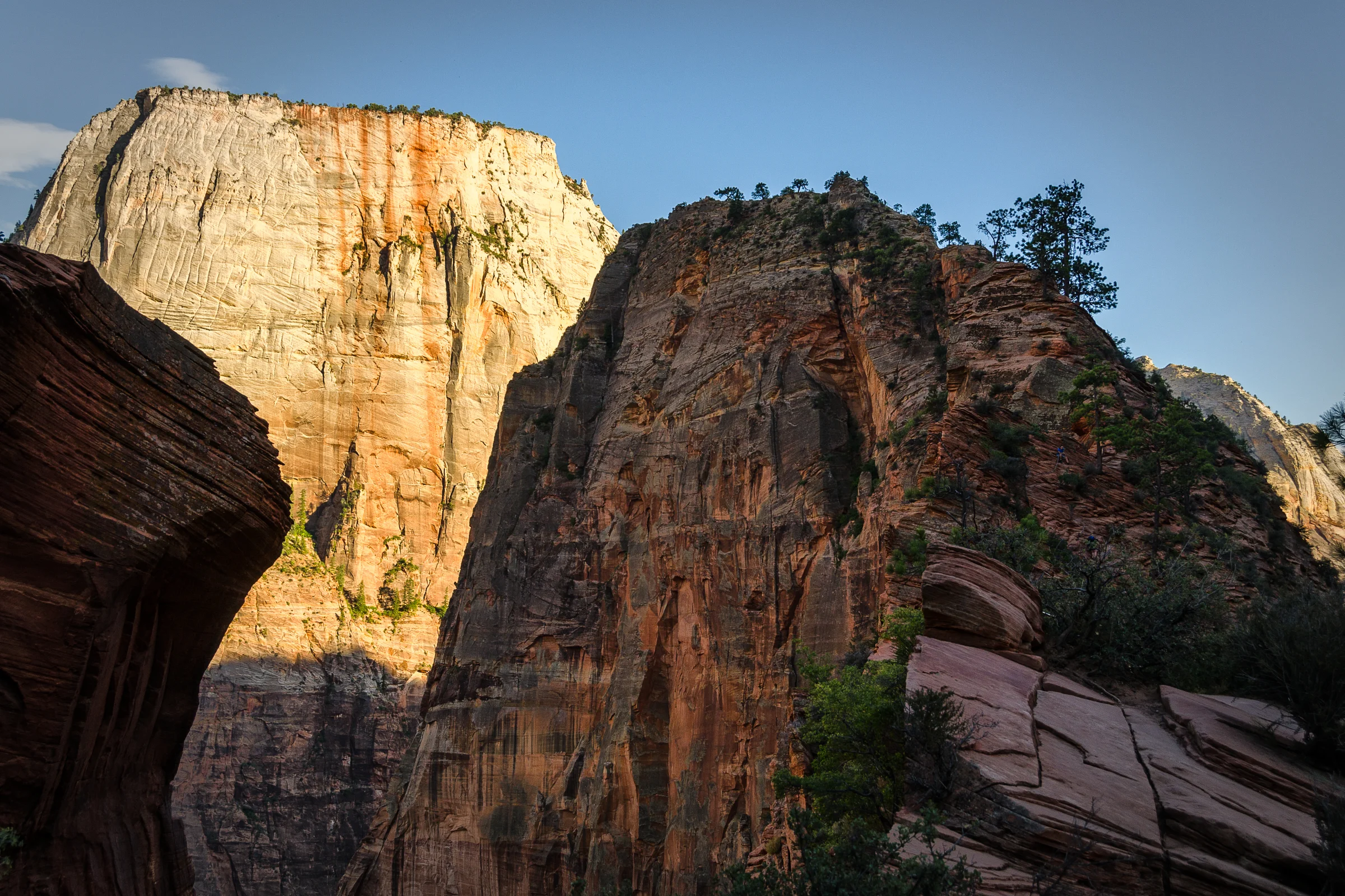  Angel's Landing. Zion National Park, Utah. Wasim Muklashy Photography 