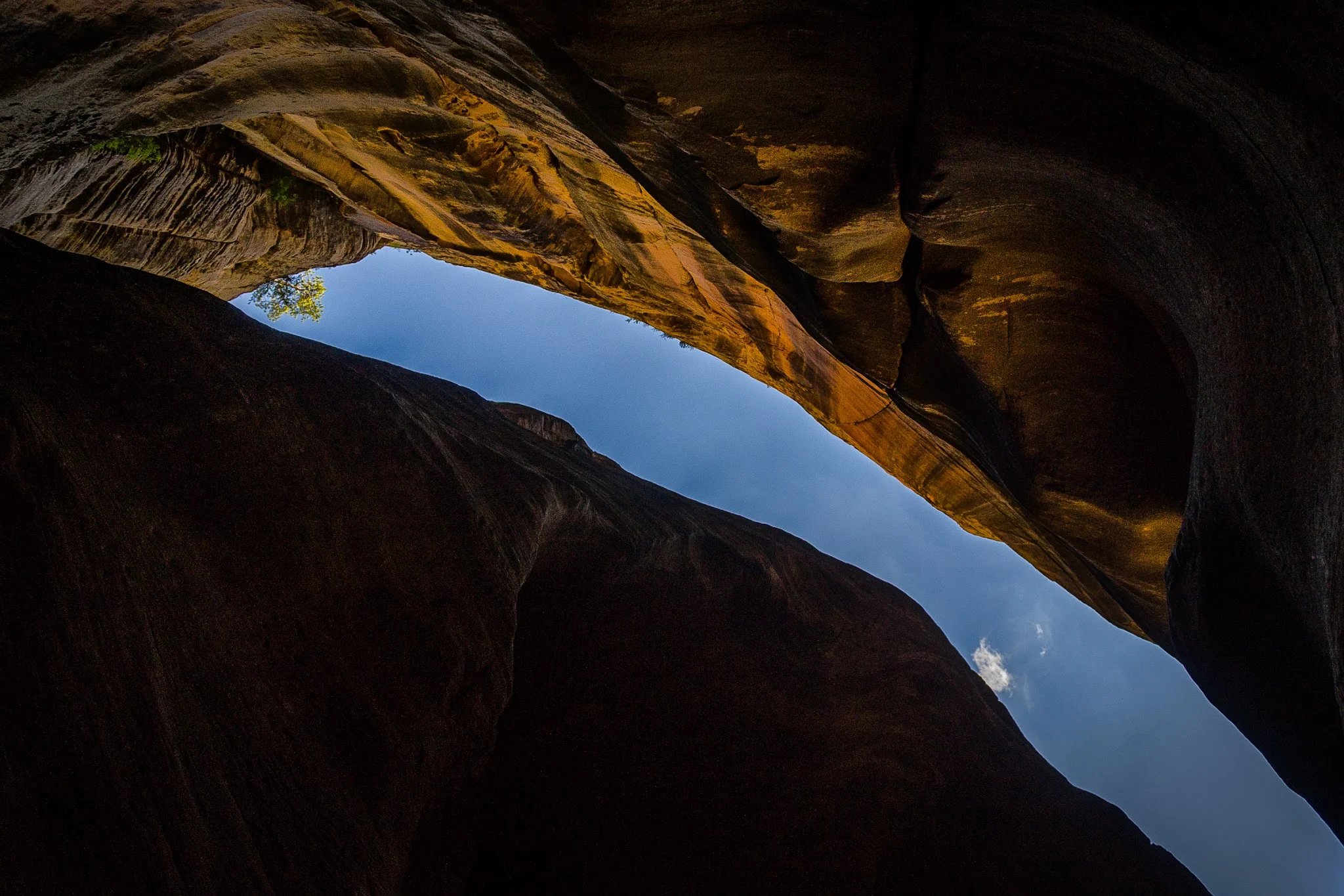The Narrows. Zion National Park, Utah. Wasim Muklashy Photography