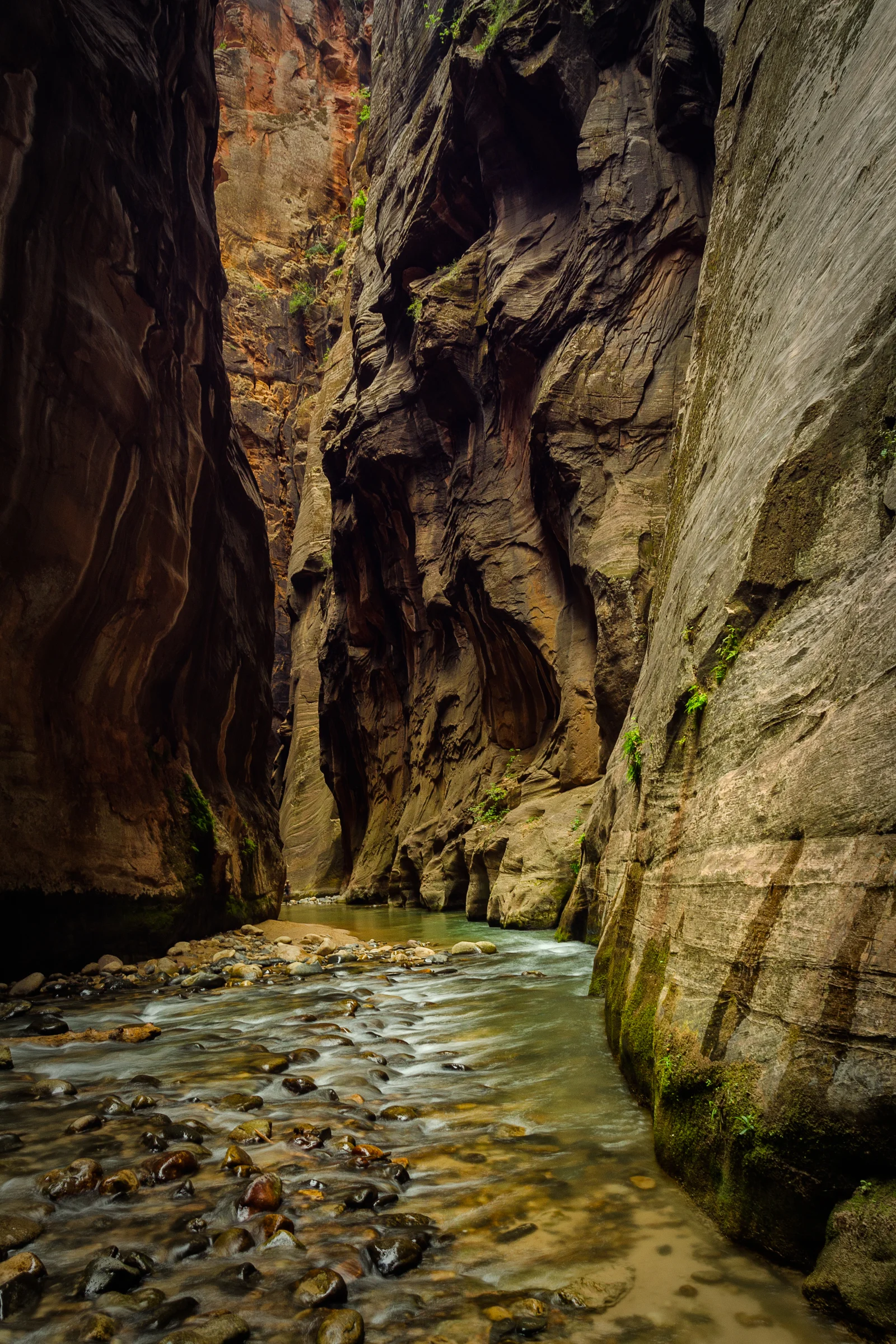 The Narrows. Wall Street. Zion National Park, Utah. Wasim Muklashy Photography.