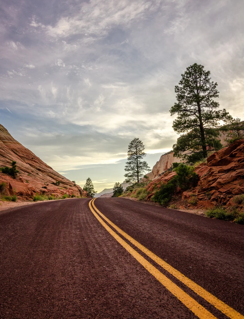 Zion National Park, Utah. Wasim Muklashy Photography