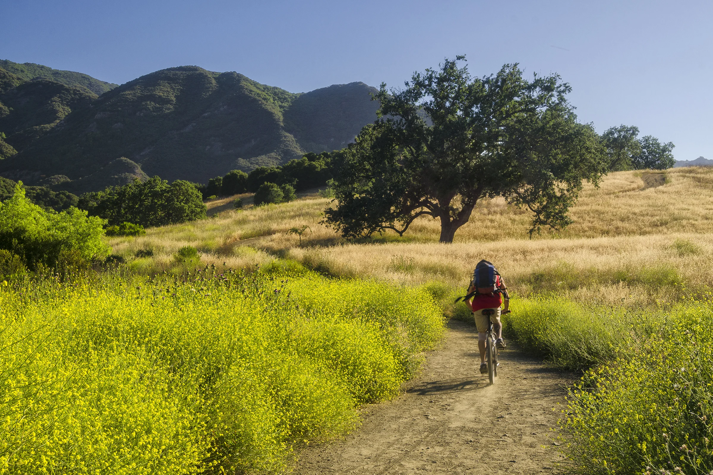 riding in. Malibu Creek State Park, California. Wasim Muklashy Photography