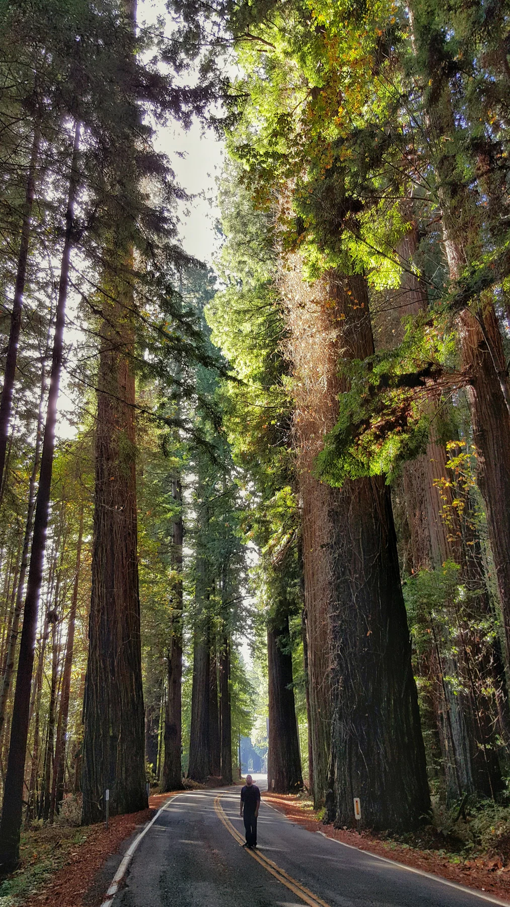 800 Miles. 36 Hours. 17 Frames. Find New Roads From Portland To San Francisco By Camaro.
