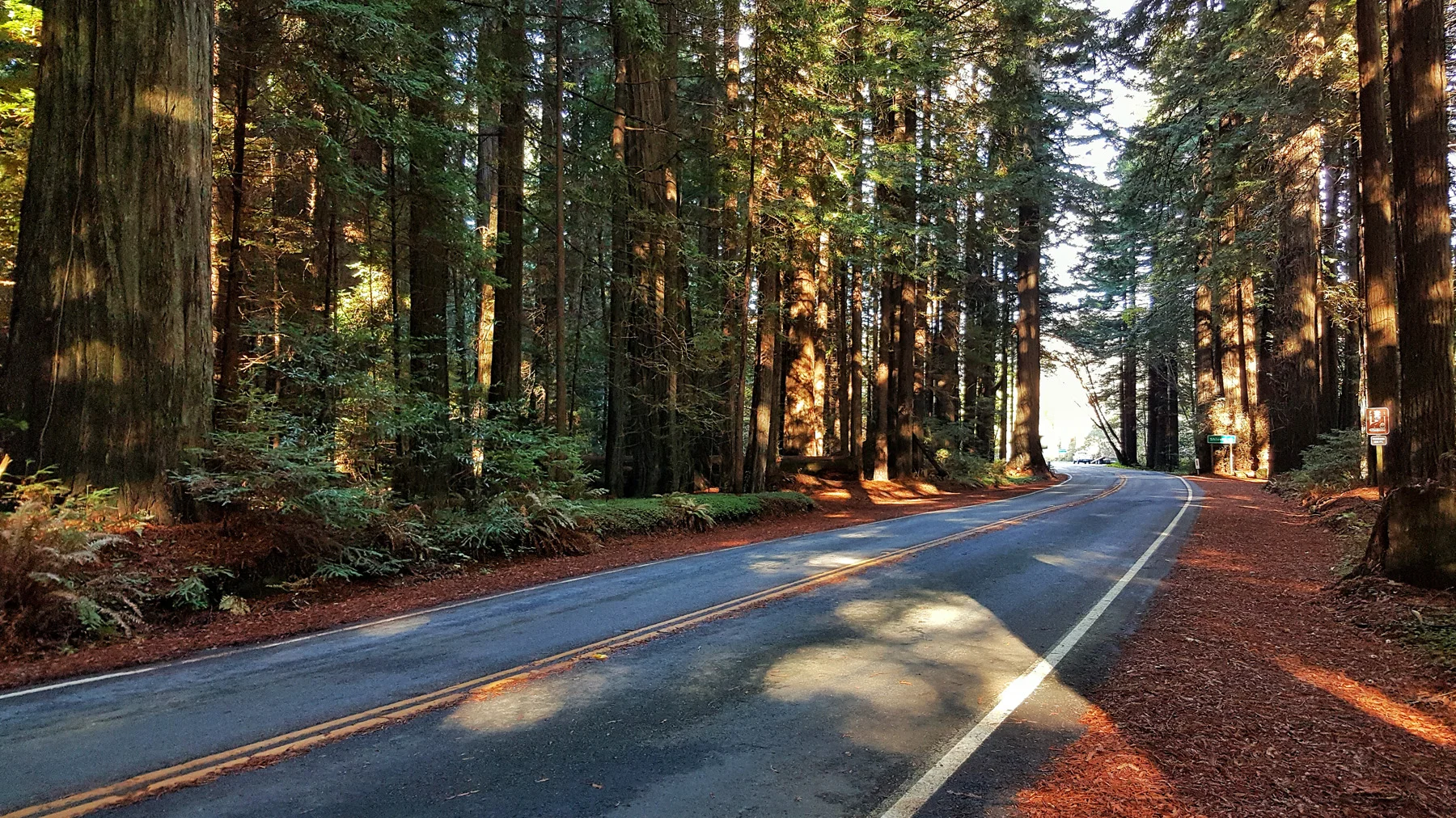 800 Miles. 36 Hours. 17 Frames. Find New Roads From Portland To San Francisco By Camaro.