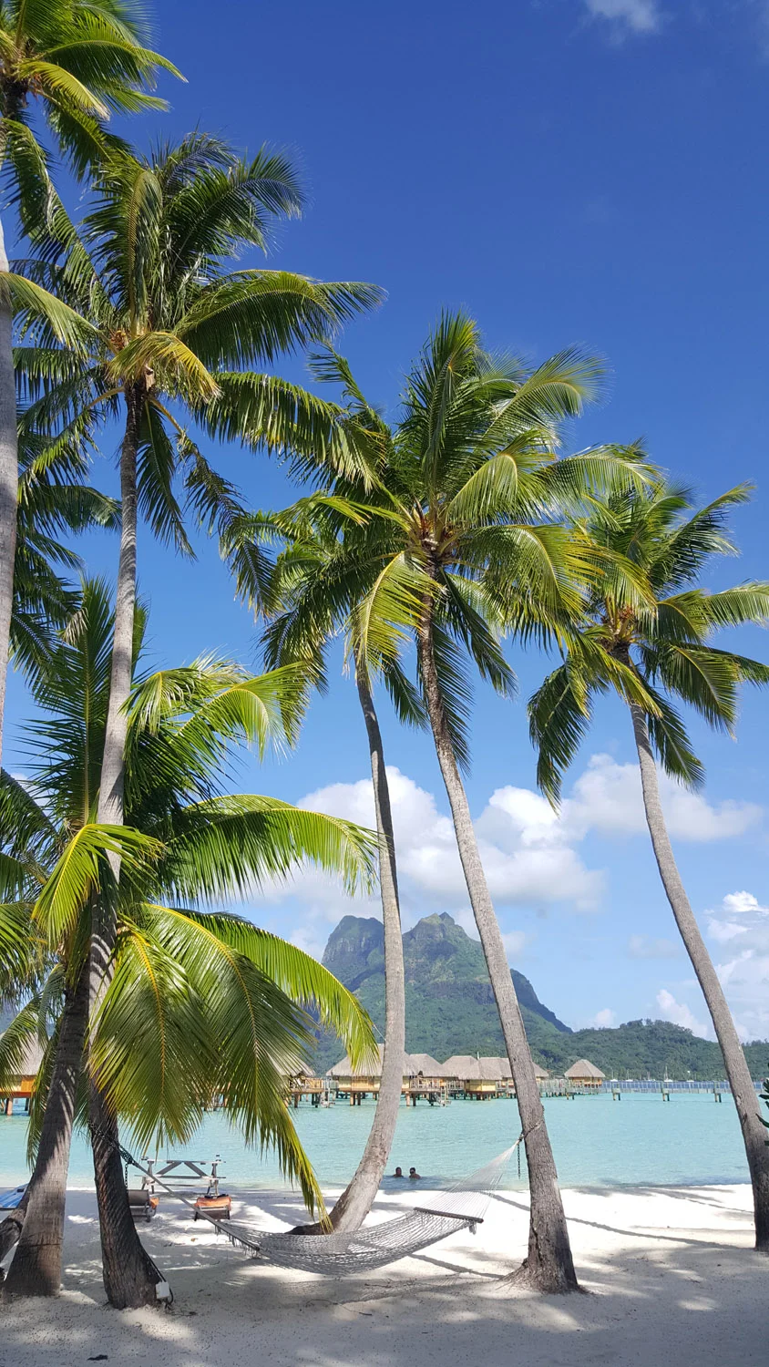 Project Beyond My Expectations. Shooting Virtual Reality For The First Time. In Tahiti!