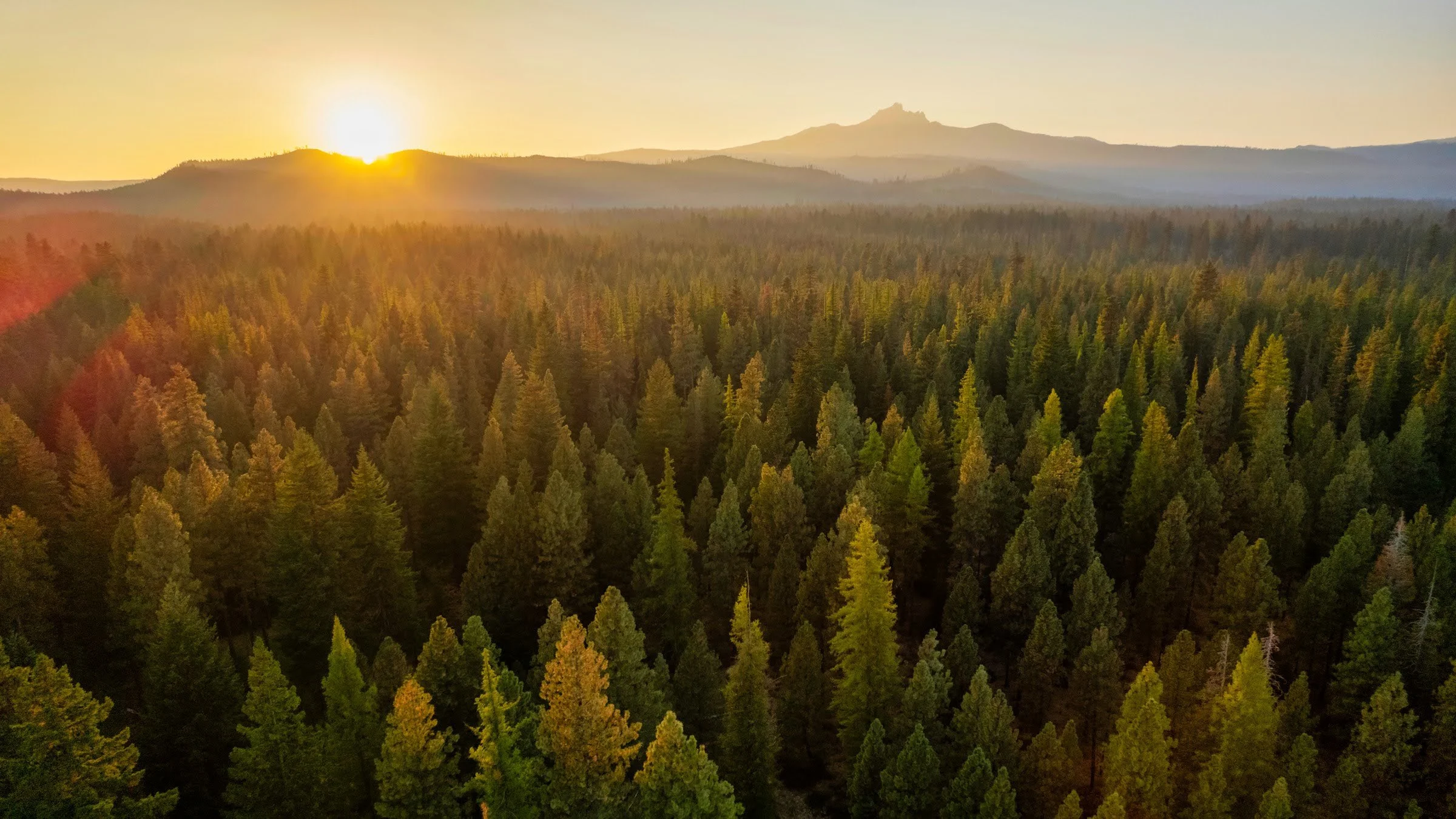Fall2022 Metolius Preserve Deschutes Land Trust Sisters Oregon Photographyby 2400px webres