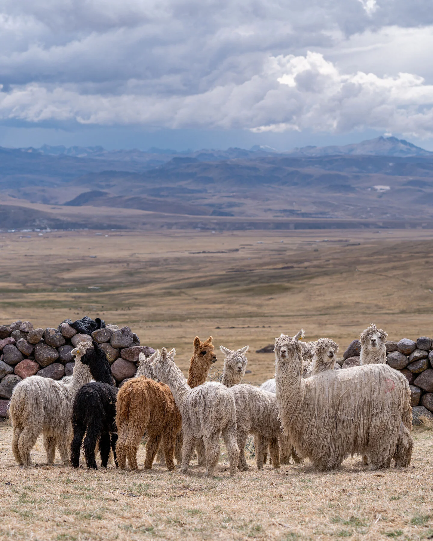 Andes Mountains Peru Quechua Benefit Picotani Spar Macusani Alpaca