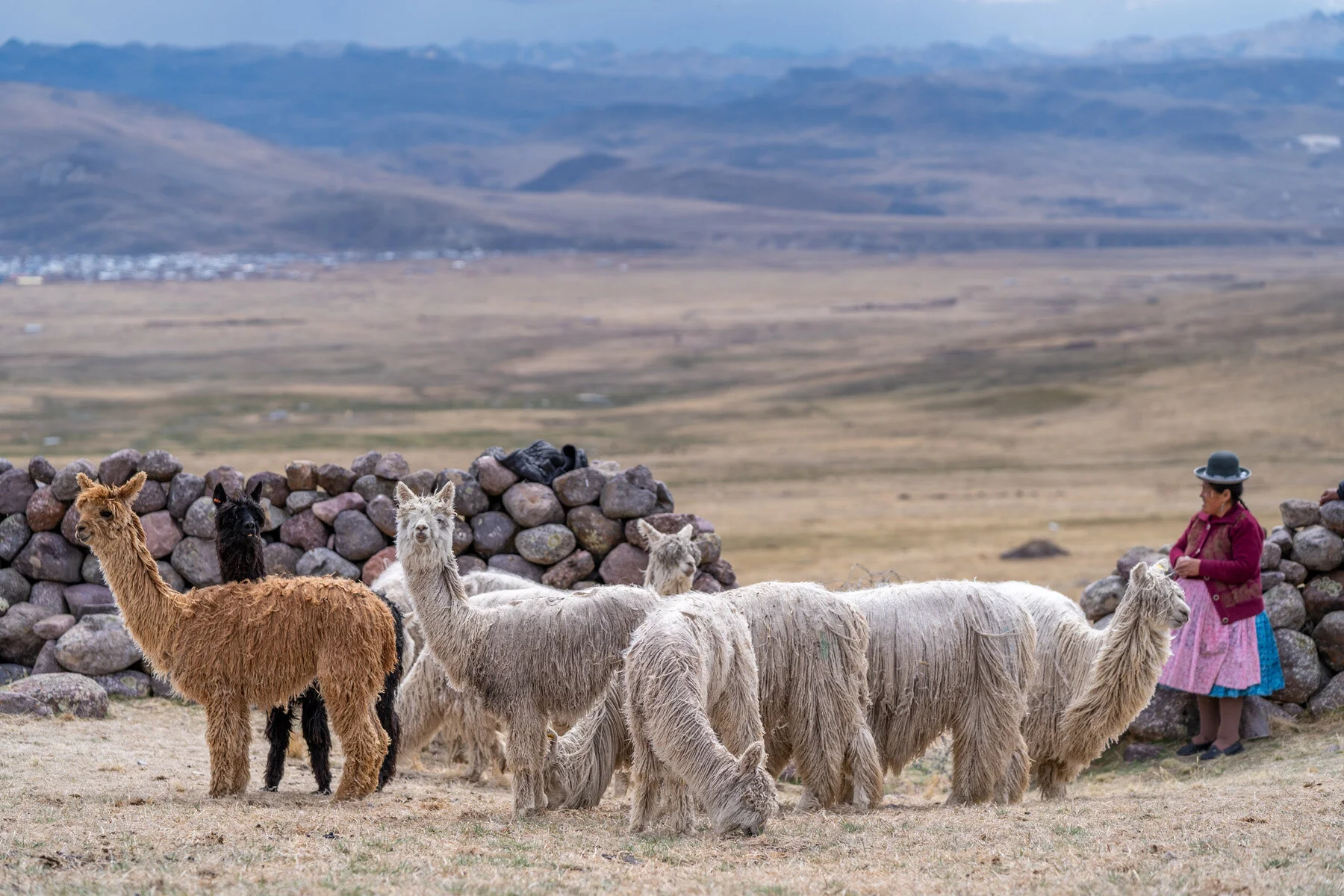Andes Mountains Peru Quechua Benefit Picotani Spar Macusani Alpaca