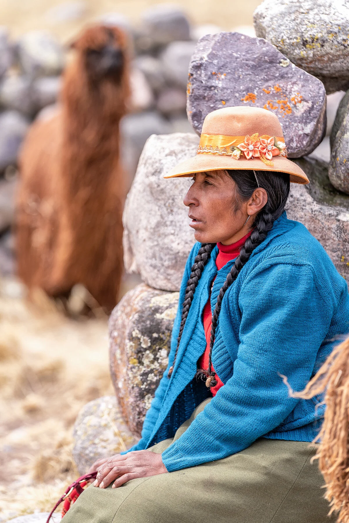 Andes Mountains Peru Quechua Benefit Picotani Spar Macusani Alpaca