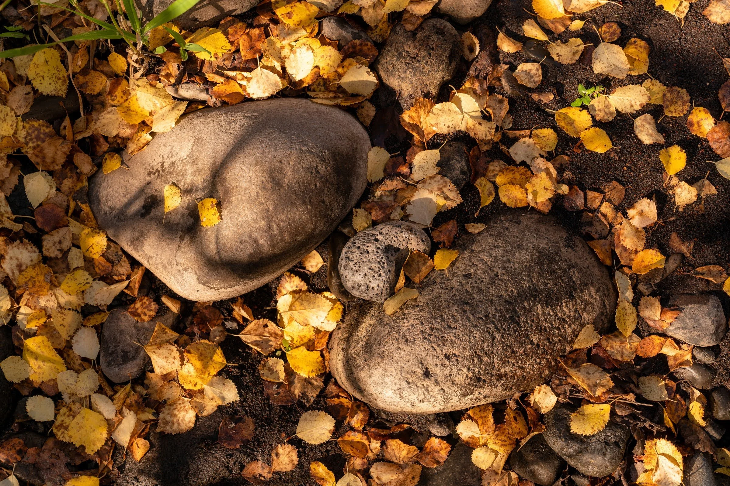 Fall2022 Whychus Canyon Preserve Deschutes Land Trust Sisters Oregon Photographyby