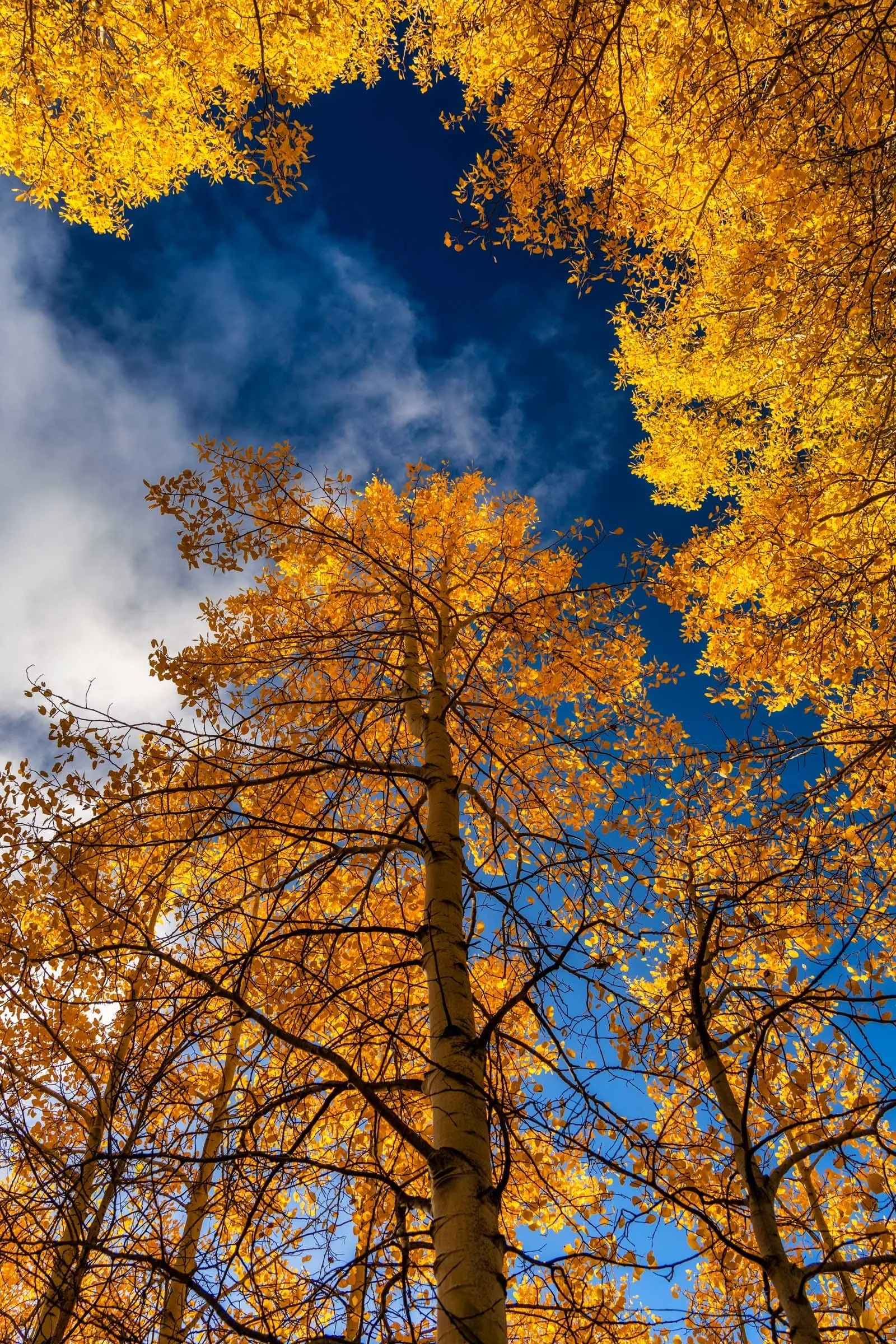 Fall2025 Camp Polk Deschutes Land Trust Paulina Creek Preserve Photographyby 2400px webres