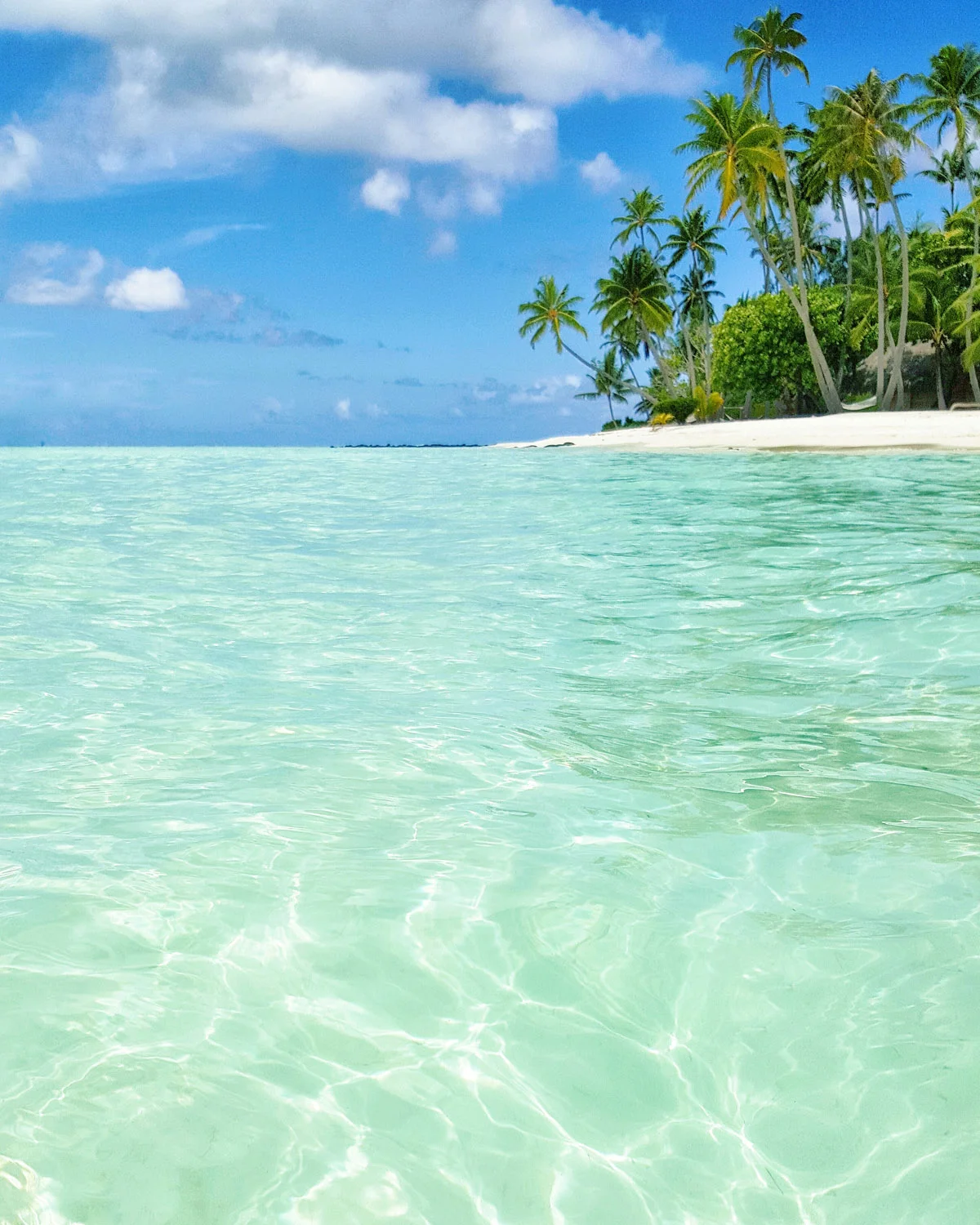 Project Beyond My Expectations. Shooting Virtual Reality For The First Time. In Tahiti!