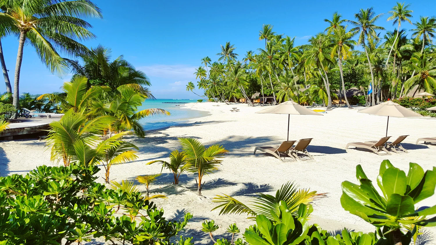 Project Beyond My Expectations. Shooting Virtual Reality For The First Time. In Tahiti!