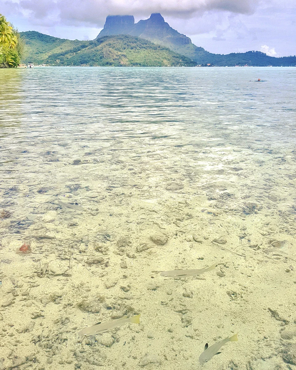 Project Beyond My Expectations. Shooting Virtual Reality For The First Time. In Tahiti!