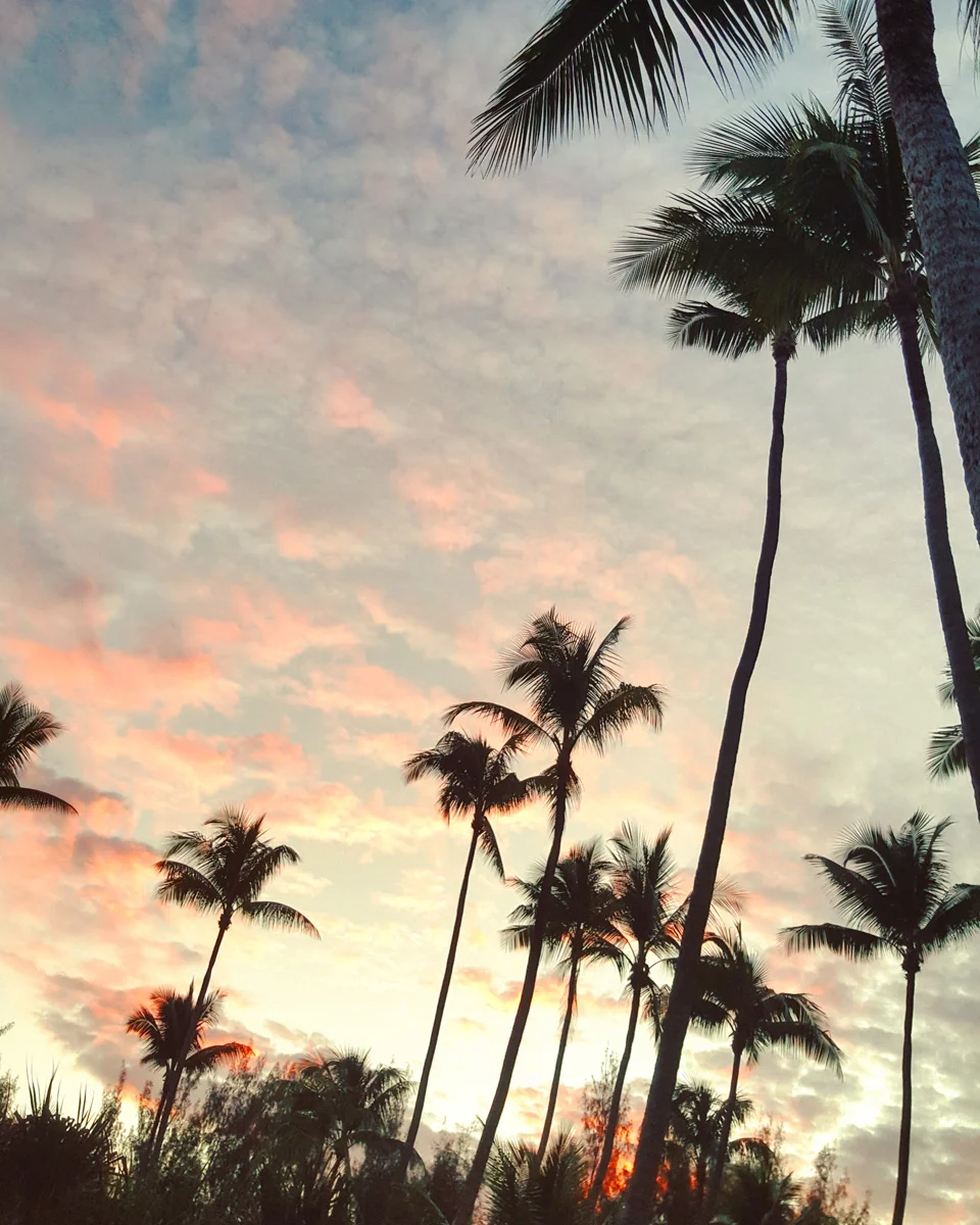Project Beyond My Expectations. Shooting Virtual Reality For The First Time. In Tahiti!