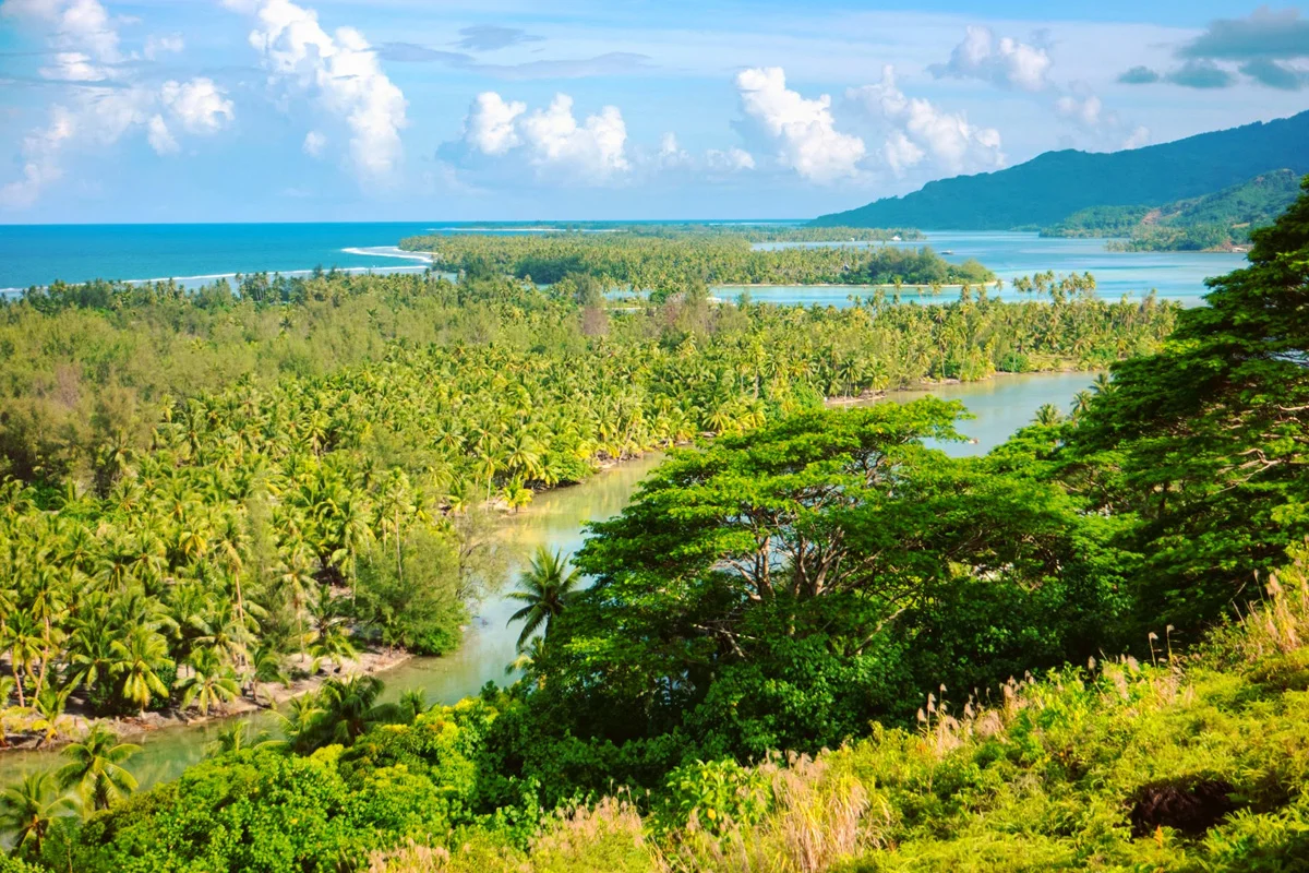 Project Beyond My Expectations. Shooting Virtual Reality For The First Time. In Tahiti!
