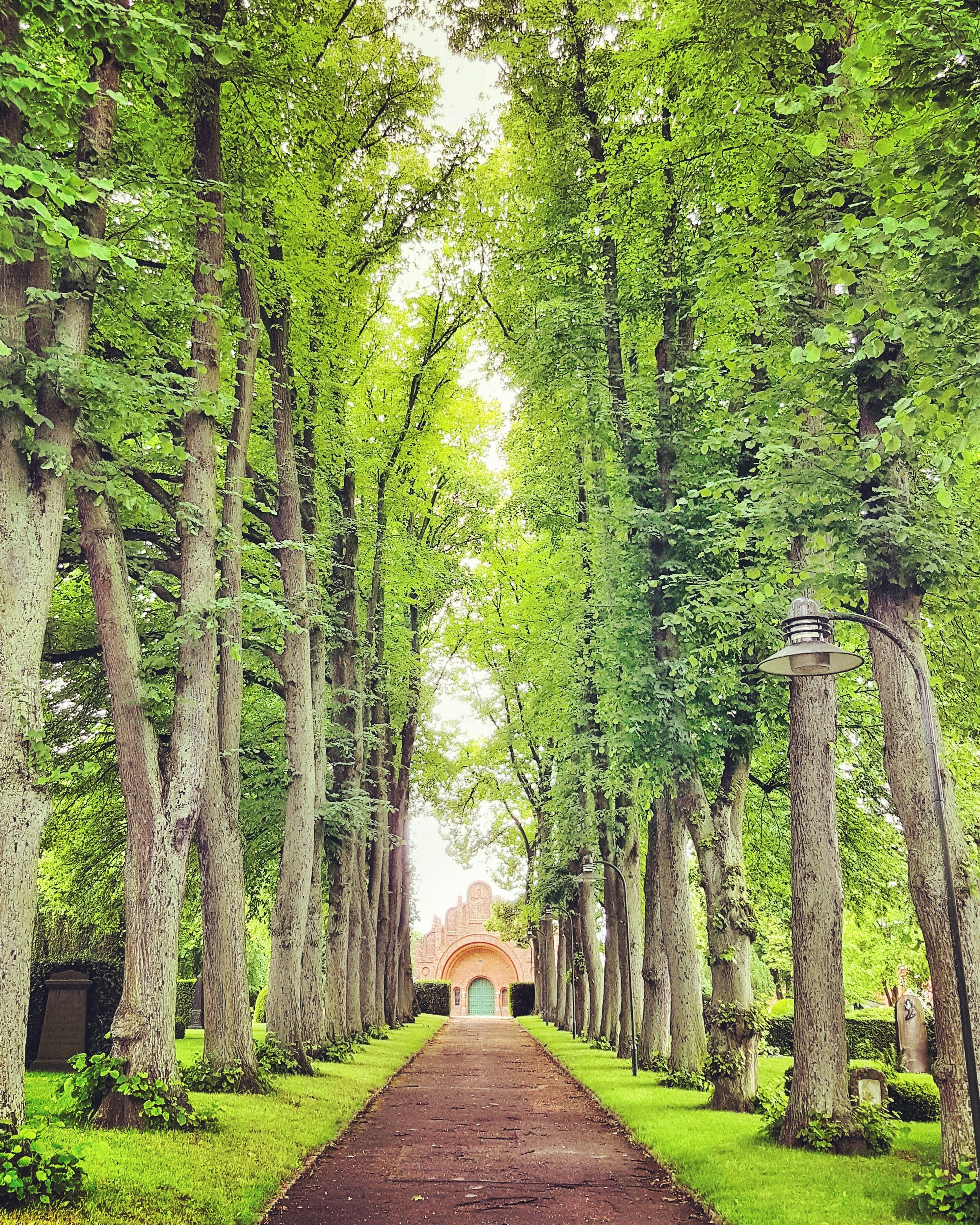 How To Start Your Summer Off With A Bang, A Woot Woot, A Yahoo, And A Gotcha Part 1 – Virtual Reality in Denmark