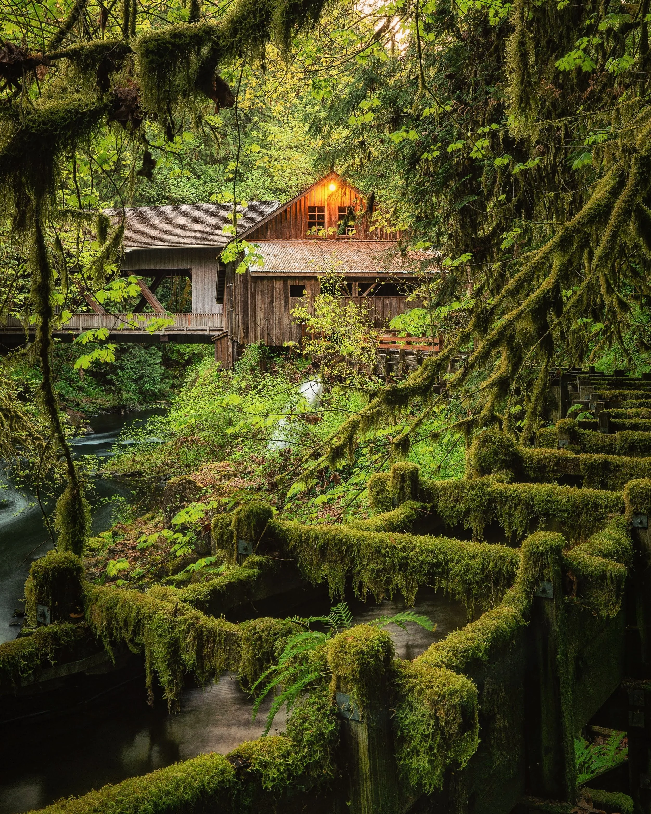 I Just Went Through My THIRD Spring in the Pacific Northwest? Three!?? Wuh!? When? How!??
