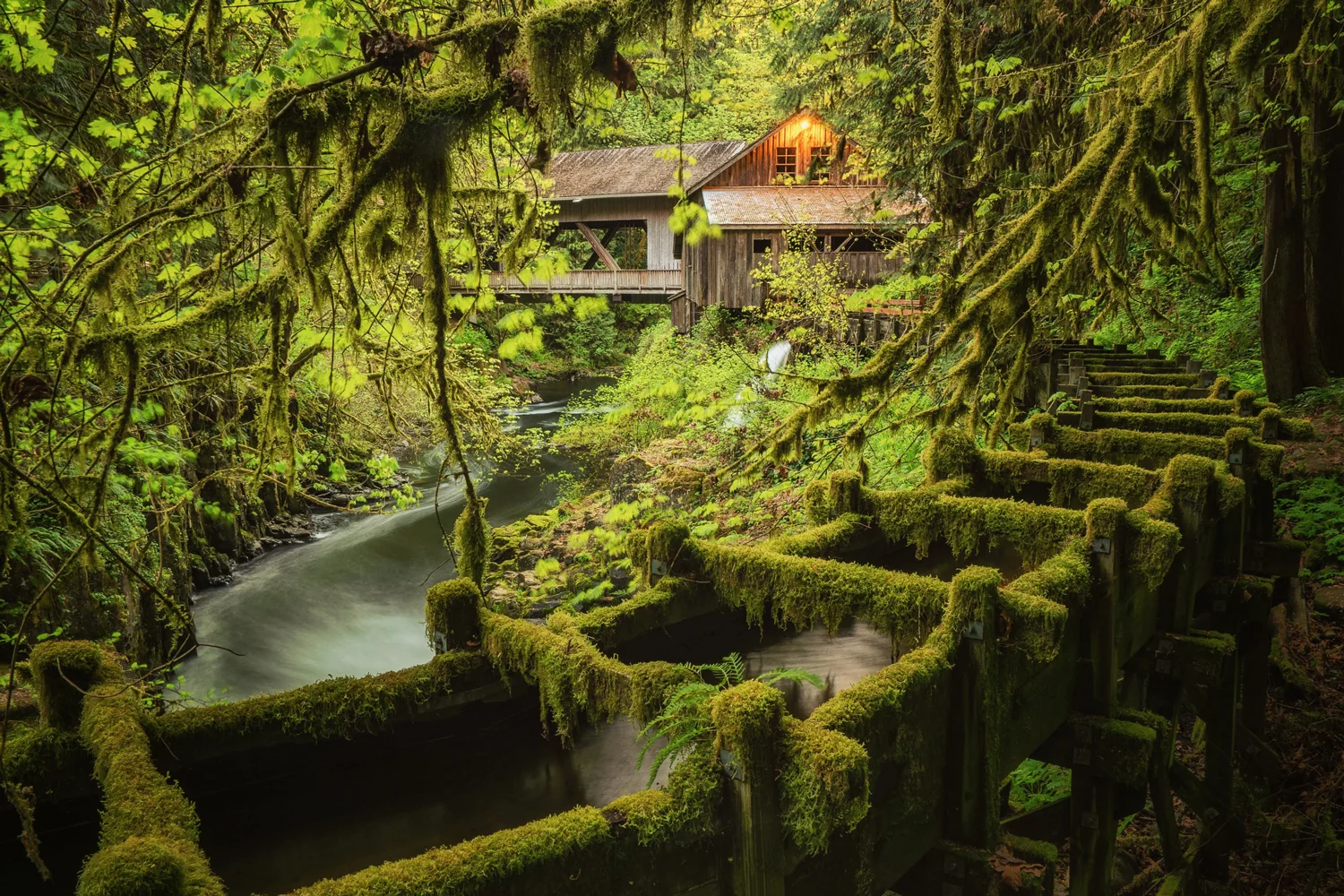 I Just Went Through My THIRD Spring in the Pacific Northwest? Three!?? Wuh!? When? How!??
