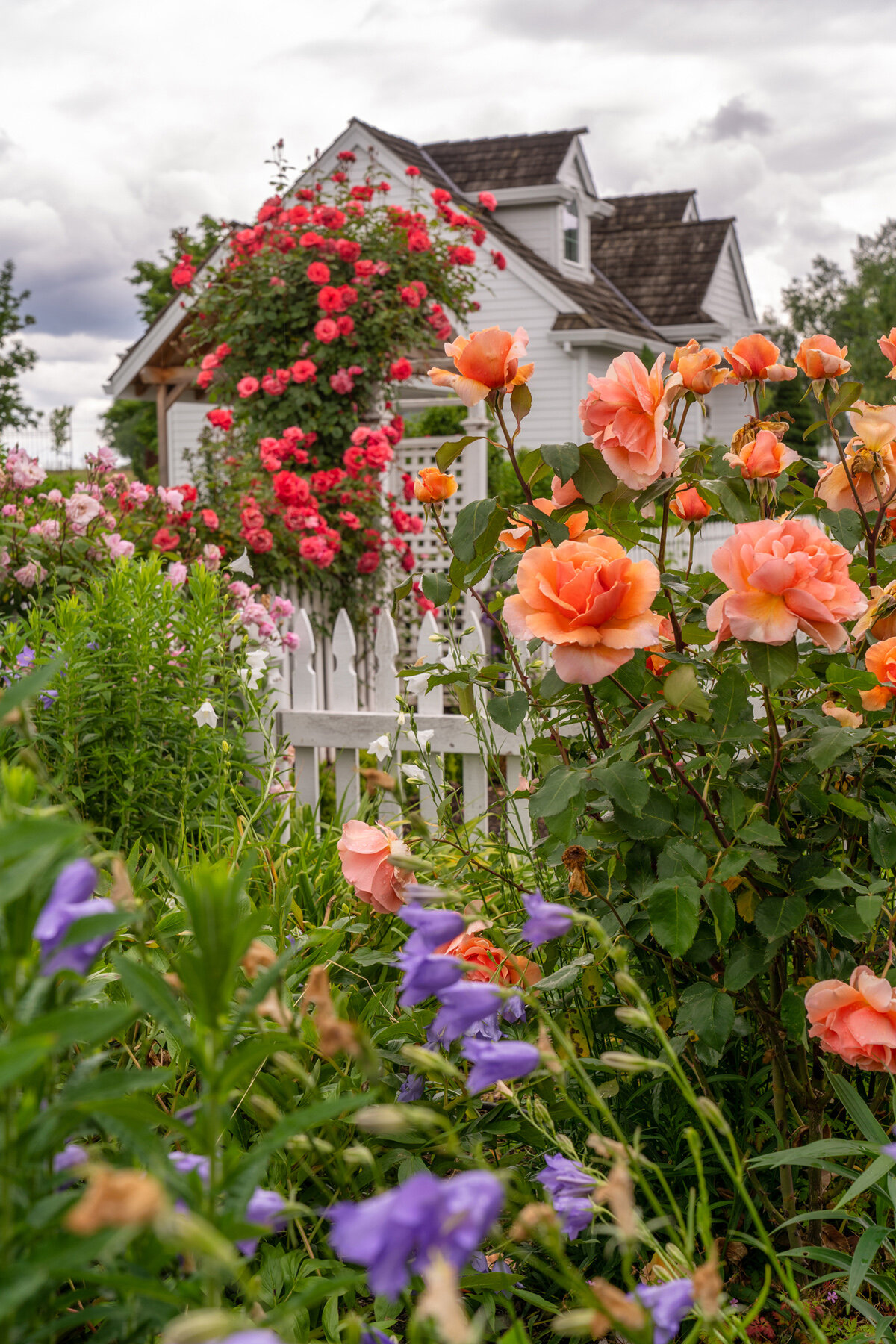 Photographyby Wasim Oakwood Gardens Hillsboro Oregon Spring2020