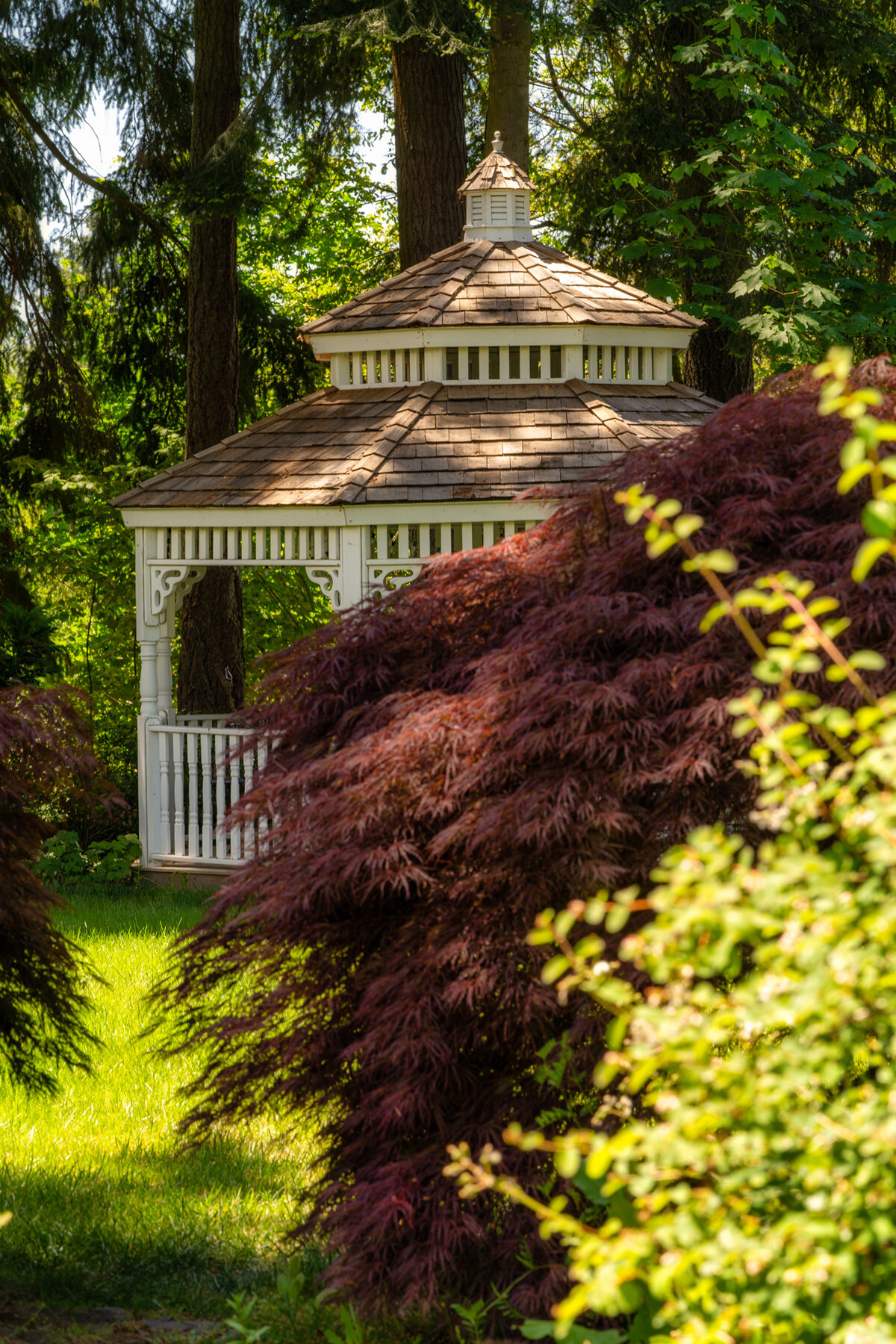 Photographyby Wasim Oakwood Gardens Hillsboro Oregon Spring2020
