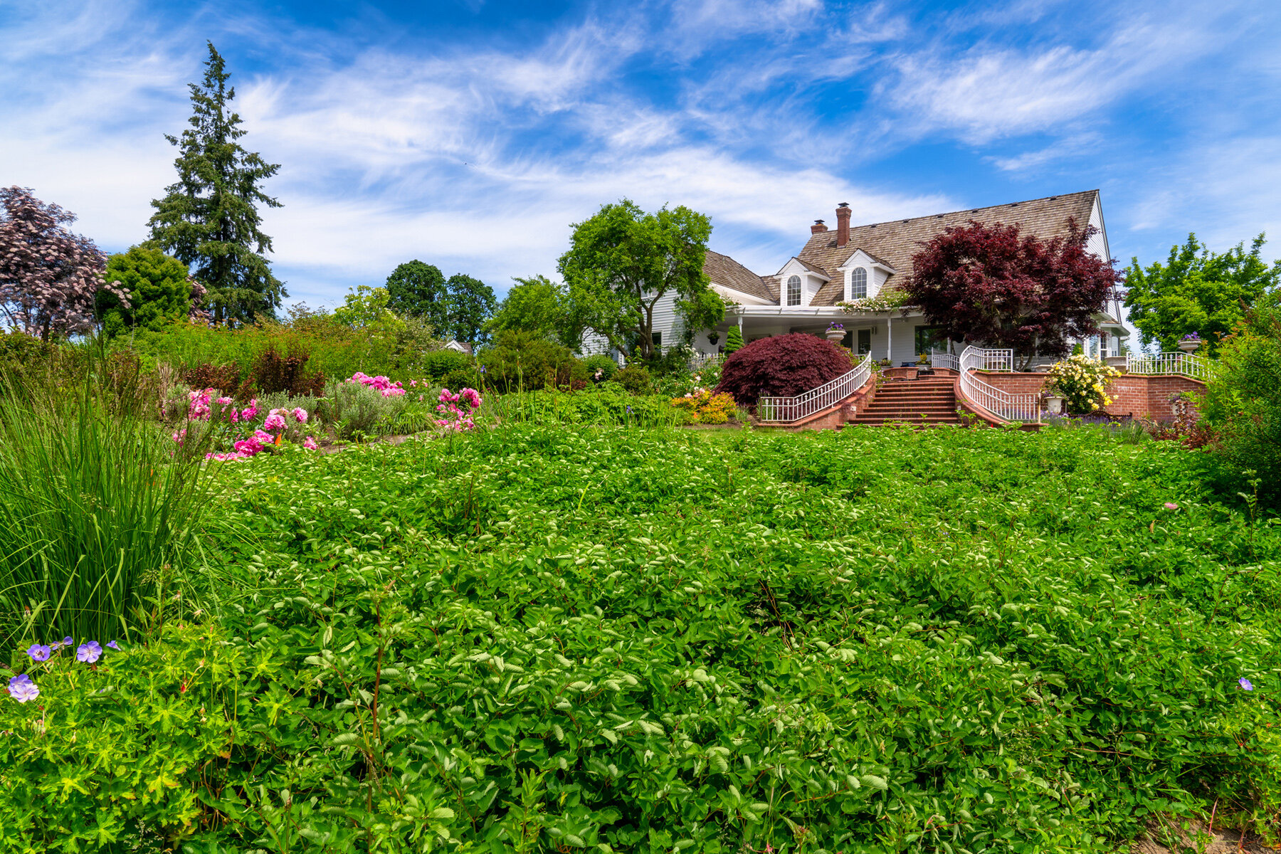Photographyby Wasim Oakwood Gardens Hillsboro Oregon Spring2020