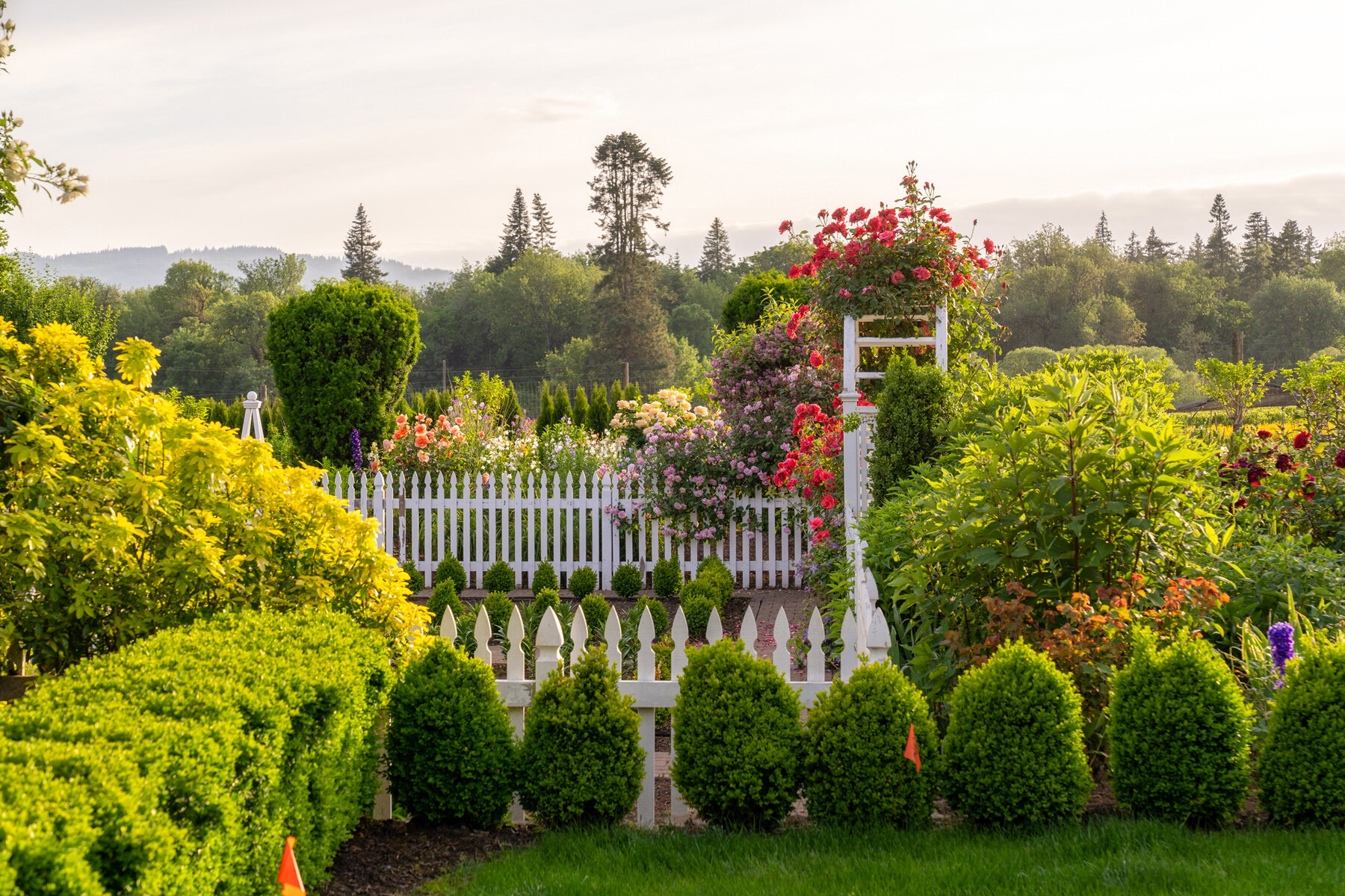 Photographyby Wasim Oakwood Gardens Hillsboro Oregon Spring2020