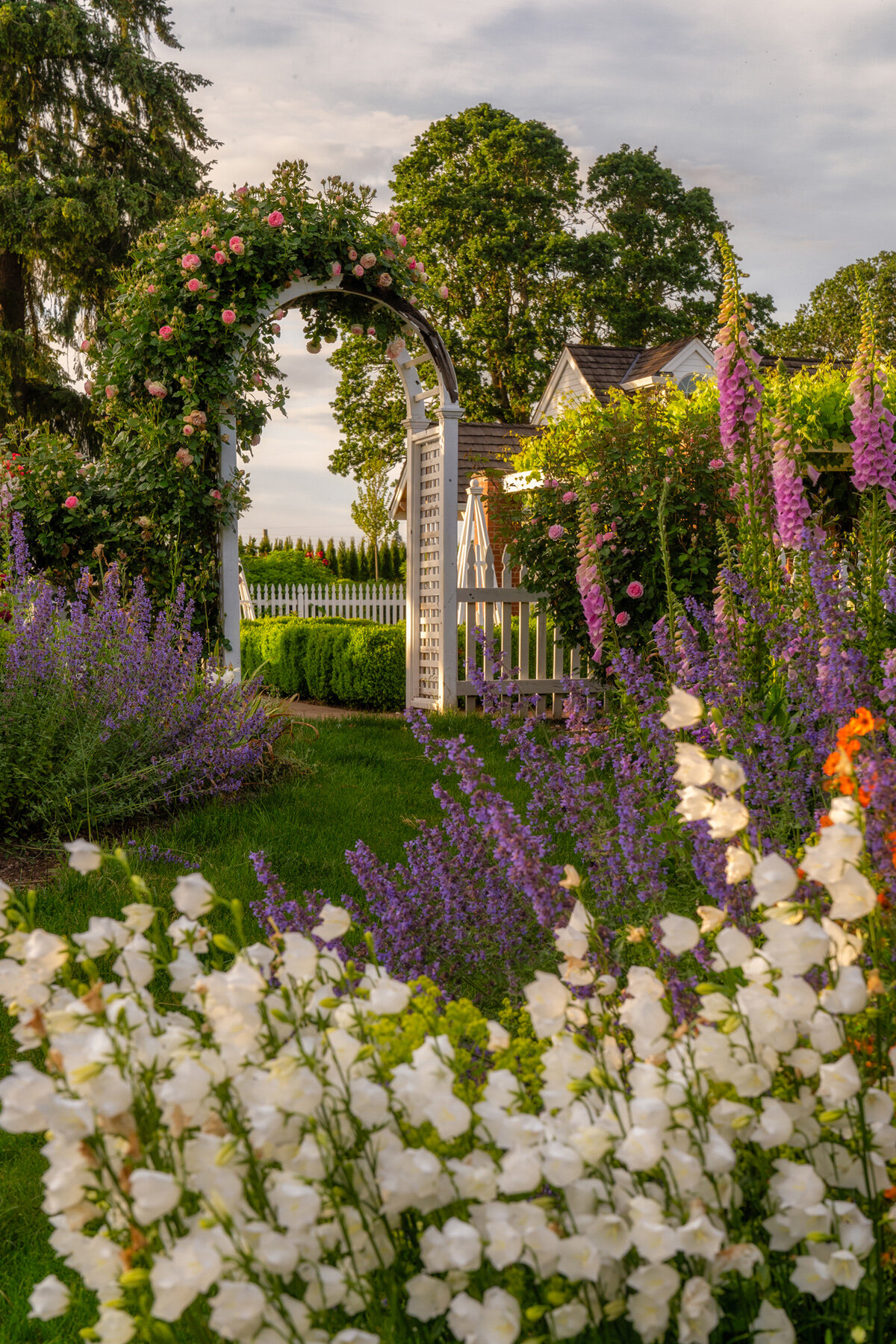 Photographyby Wasim Oakwood Gardens Hillsboro Oregon Spring2020