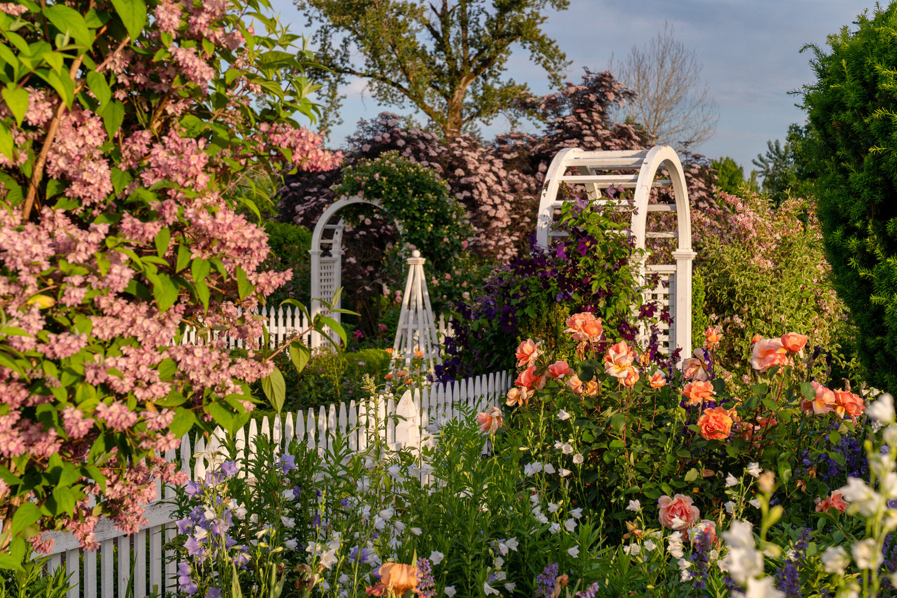 Photographyby Wasim Oakwood Gardens Hillsboro Oregon Spring2020