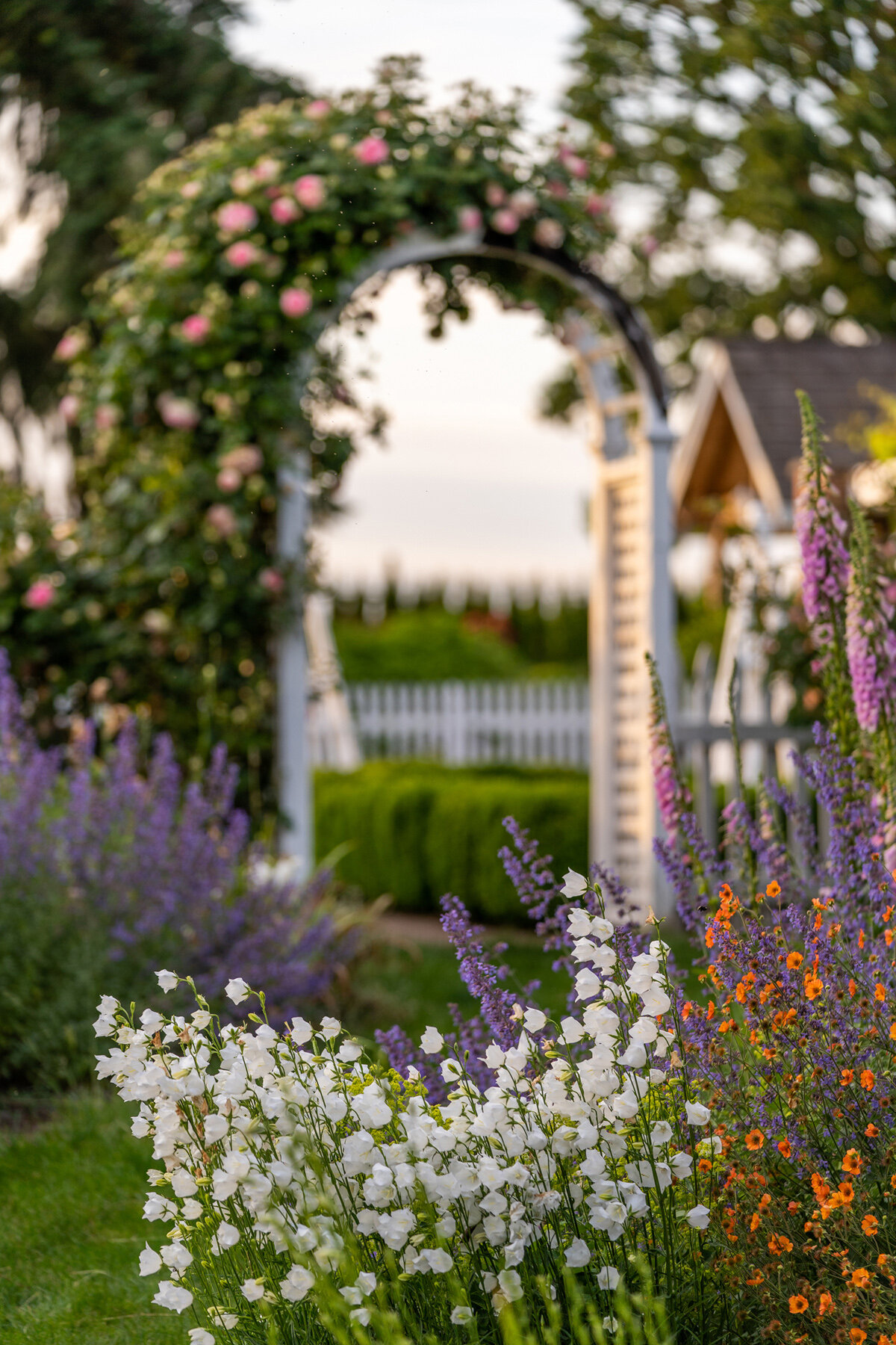 Photographyby Wasim Oakwood Gardens Hillsboro Oregon Spring2020