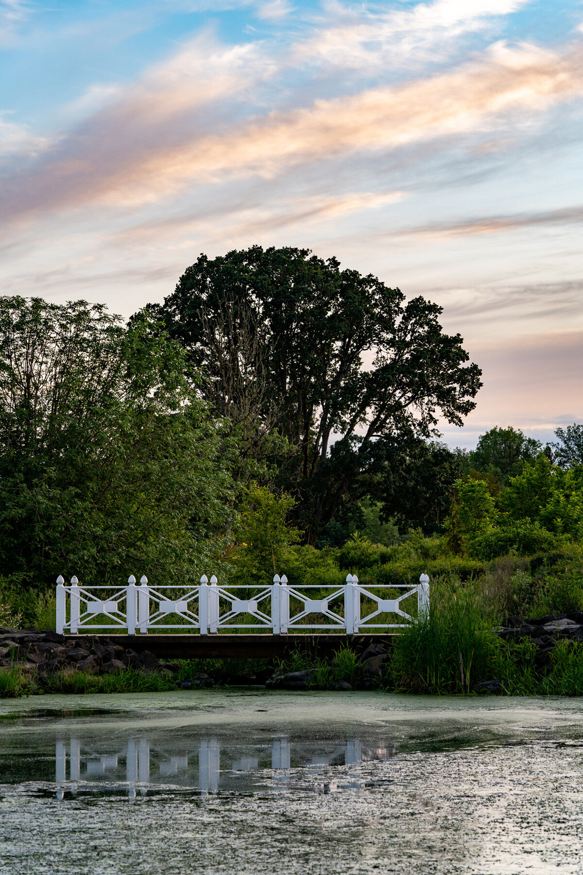 Photographyby Wasim Oakwood Gardens Hillsboro Oregon Spring2020