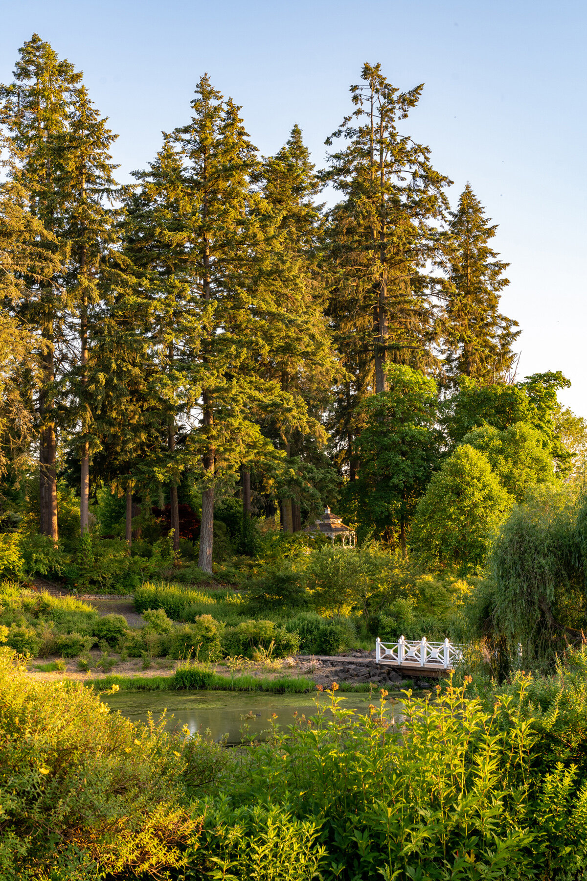Photographyby Wasim Oakwood Gardens Hillsboro Oregon Spring2020