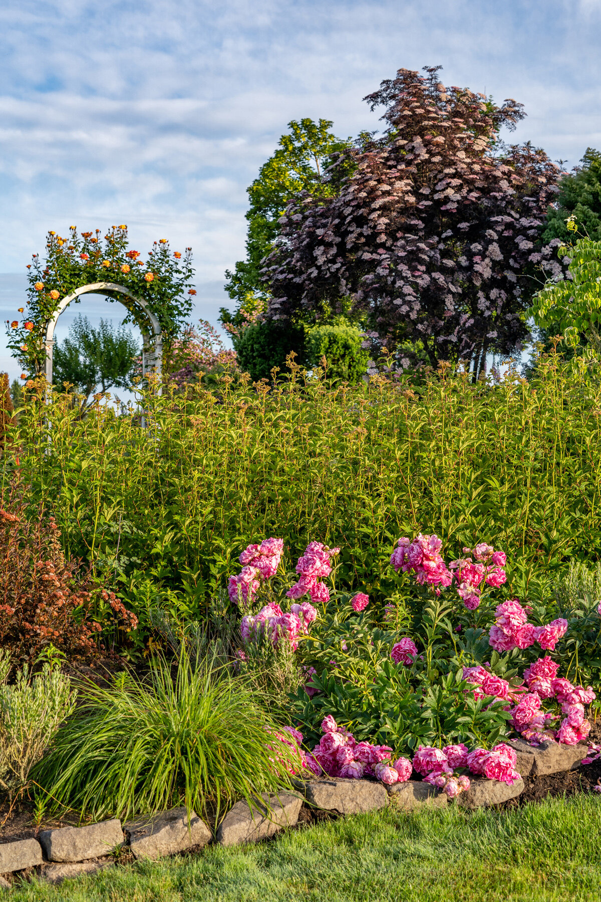 Photographyby Wasim Oakwood Gardens Hillsboro Oregon Spring2020