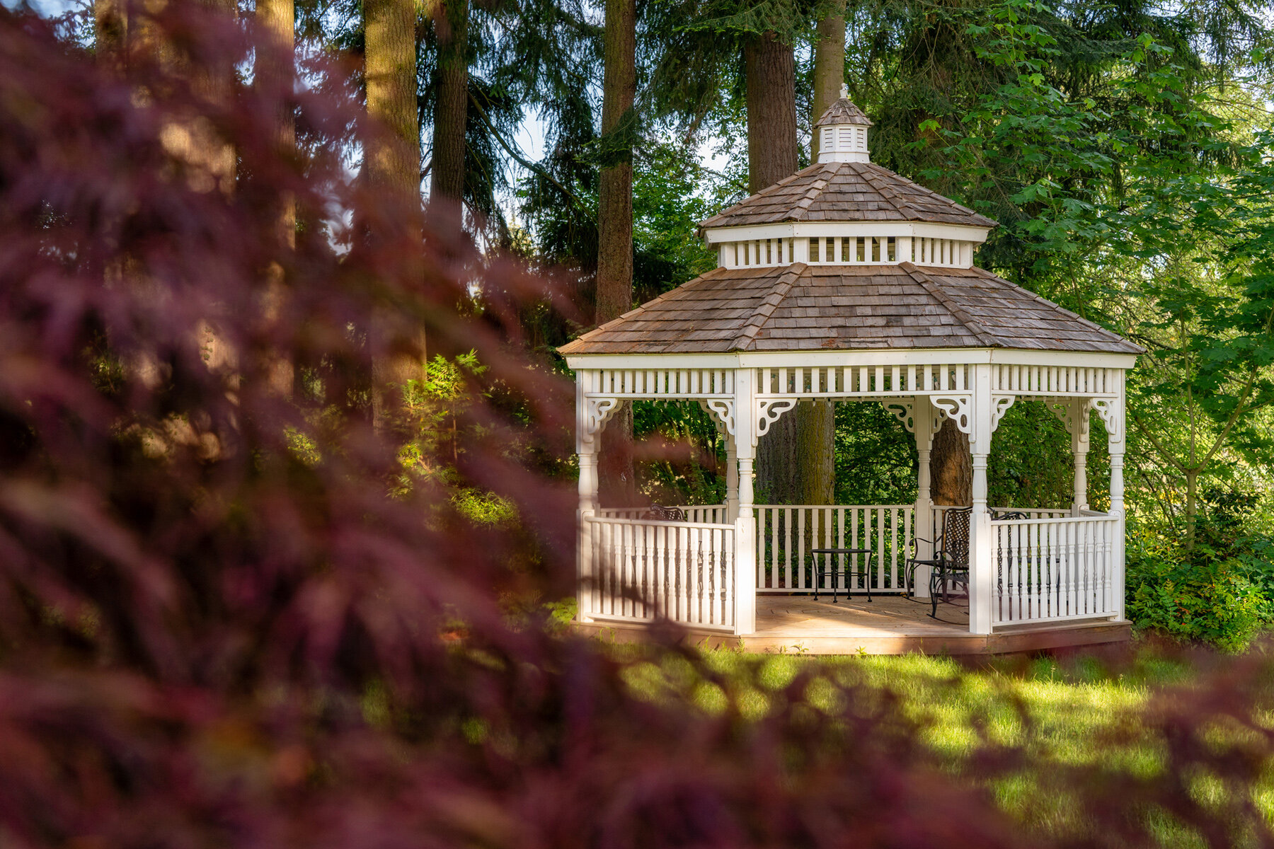 Photographyby Wasim Oakwood Gardens Hillsboro Oregon Spring2020