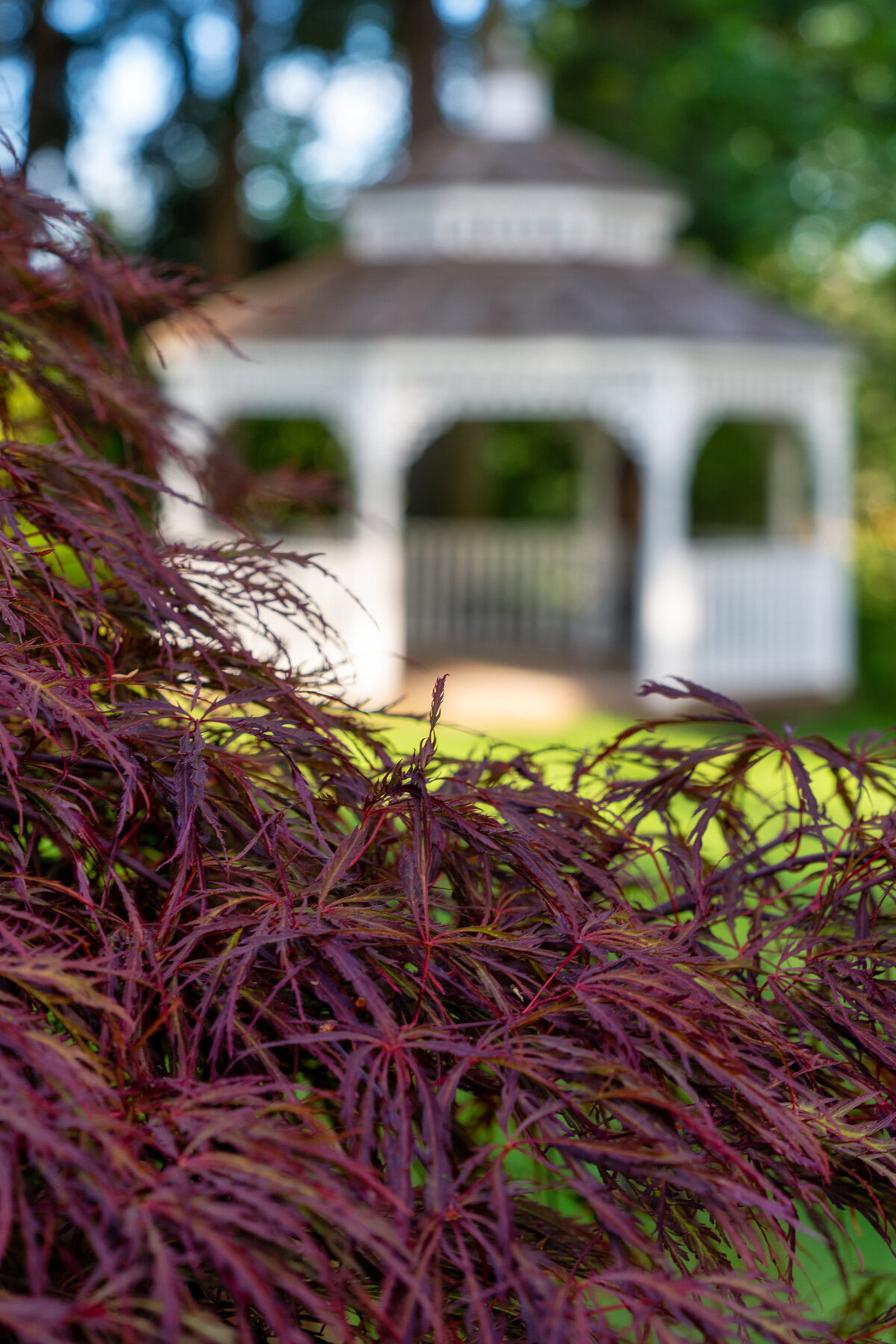 Photographyby Wasim Oakwood Gardens Hillsboro Oregon Spring2020