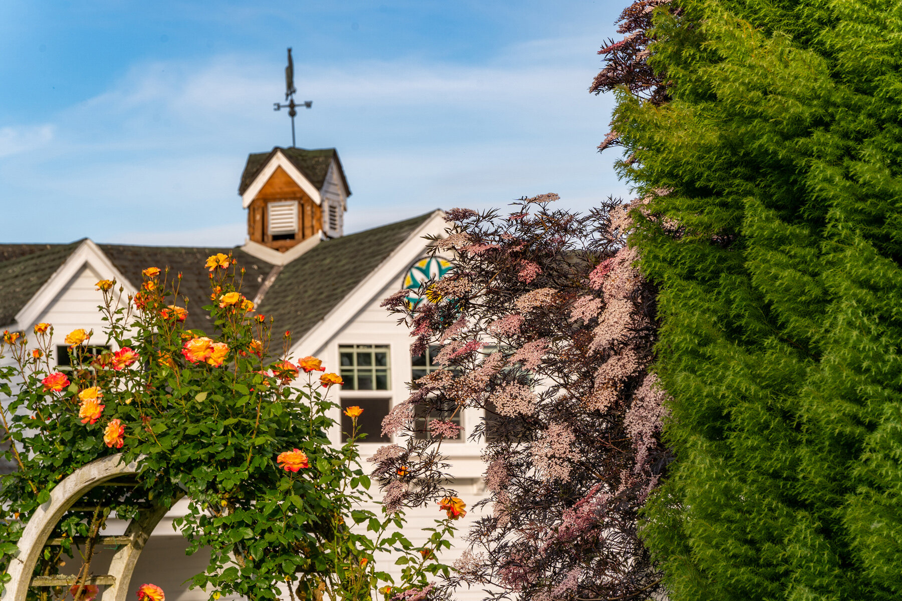 Photographyby Wasim Oakwood Gardens Hillsboro Oregon Spring2020