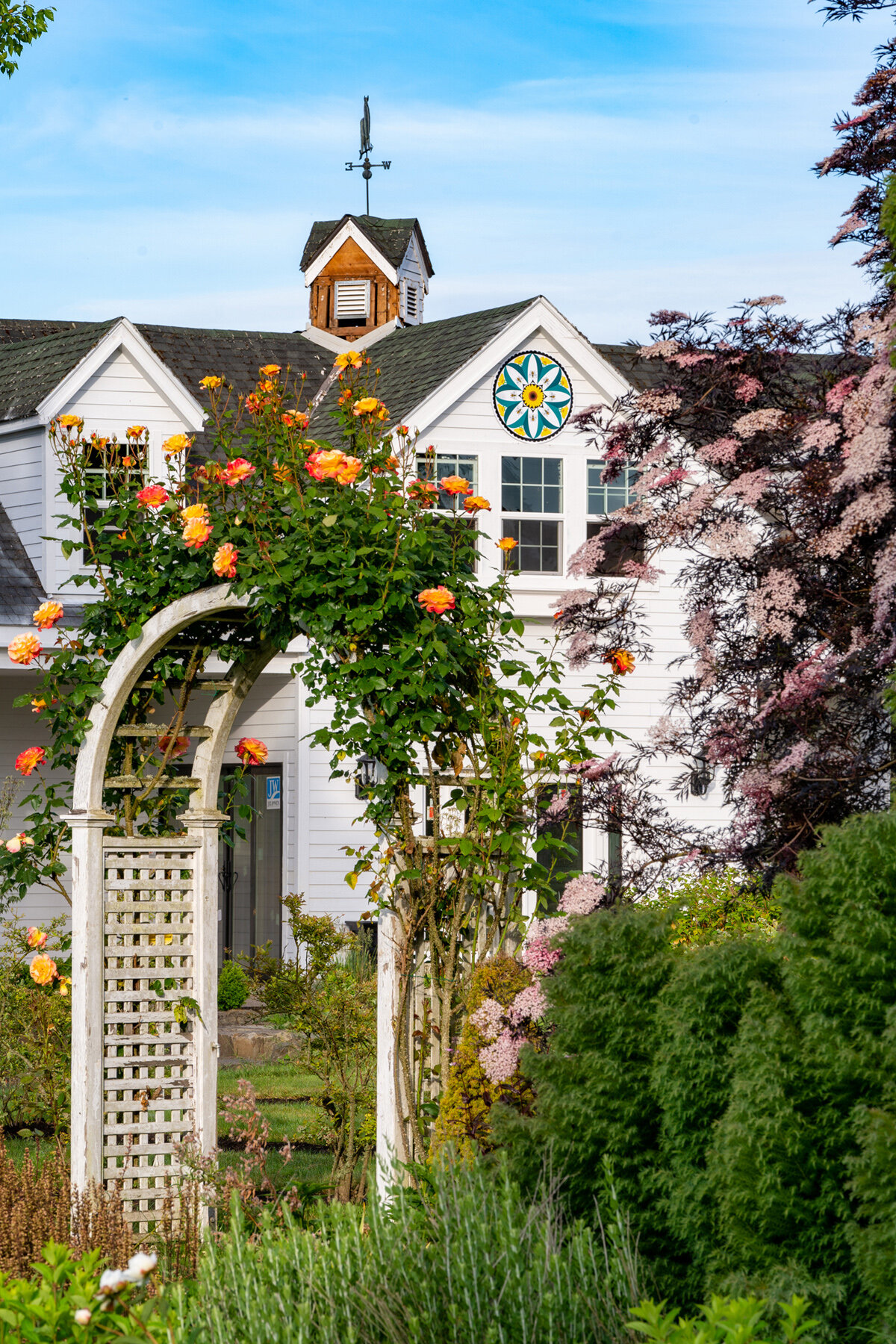 Photographyby Wasim Oakwood Gardens Hillsboro Oregon Spring2020