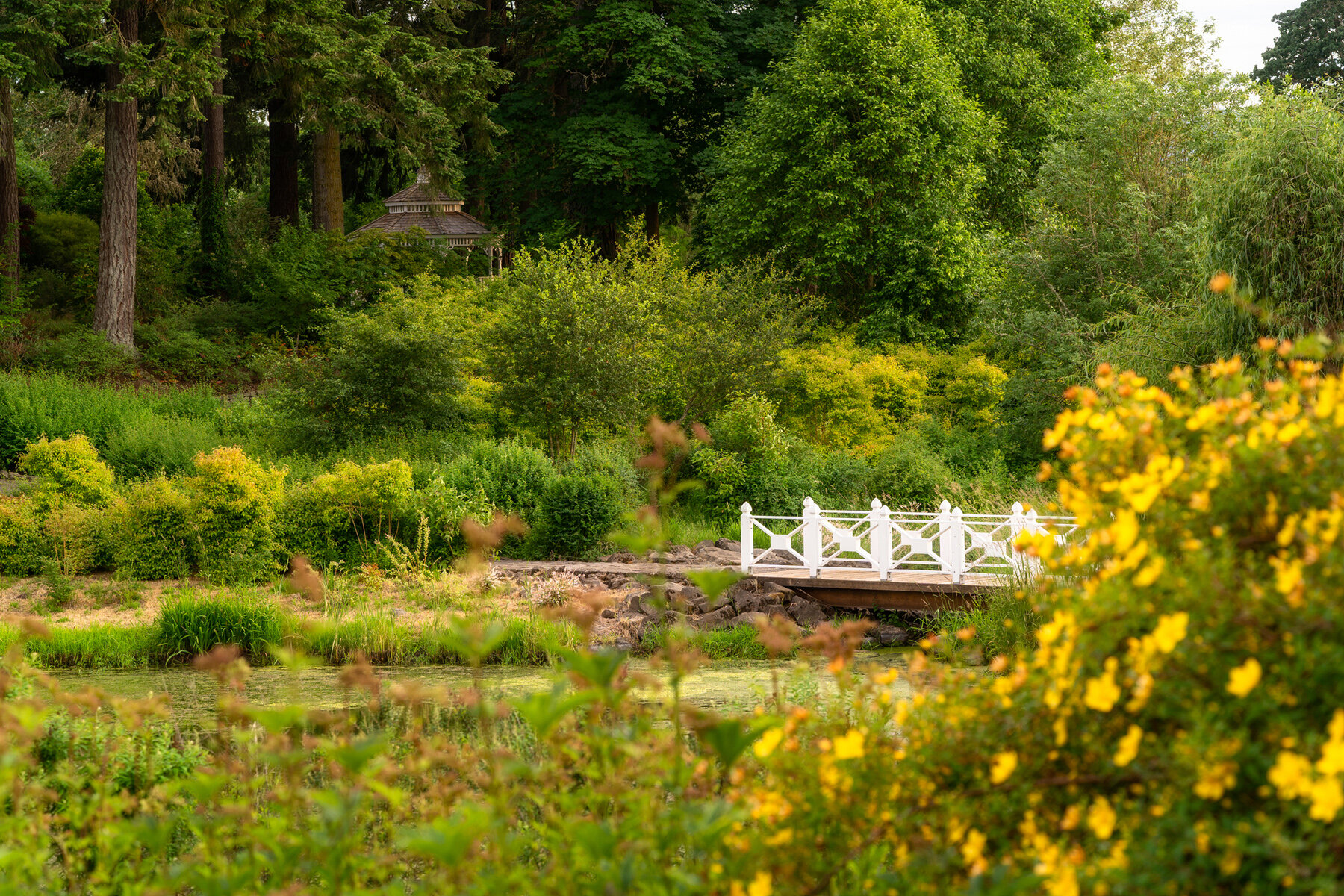 Photographyby Wasim Oakwood Gardens Hillsboro Oregon Spring2020