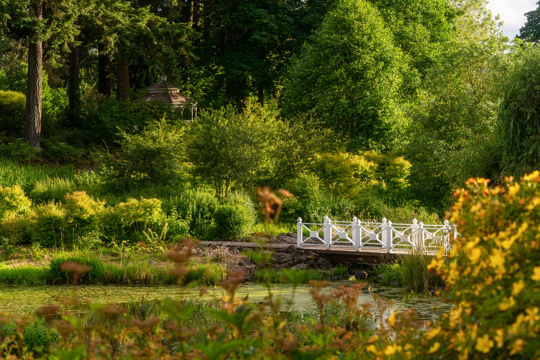 Photographyby Wasim Oakwood Gardens Hillsboro Oregon Spring2020