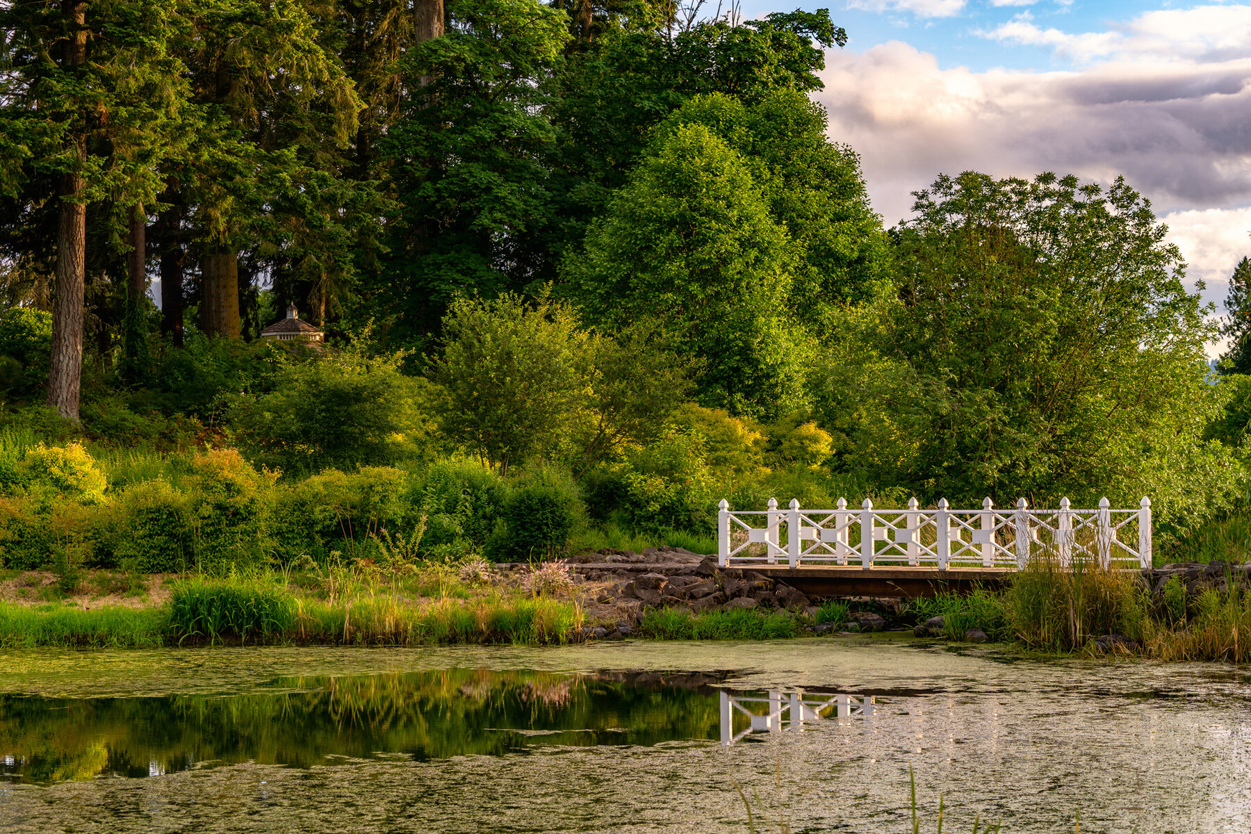 Photographyby Wasim Oakwood Gardens Hillsboro Oregon Spring2020