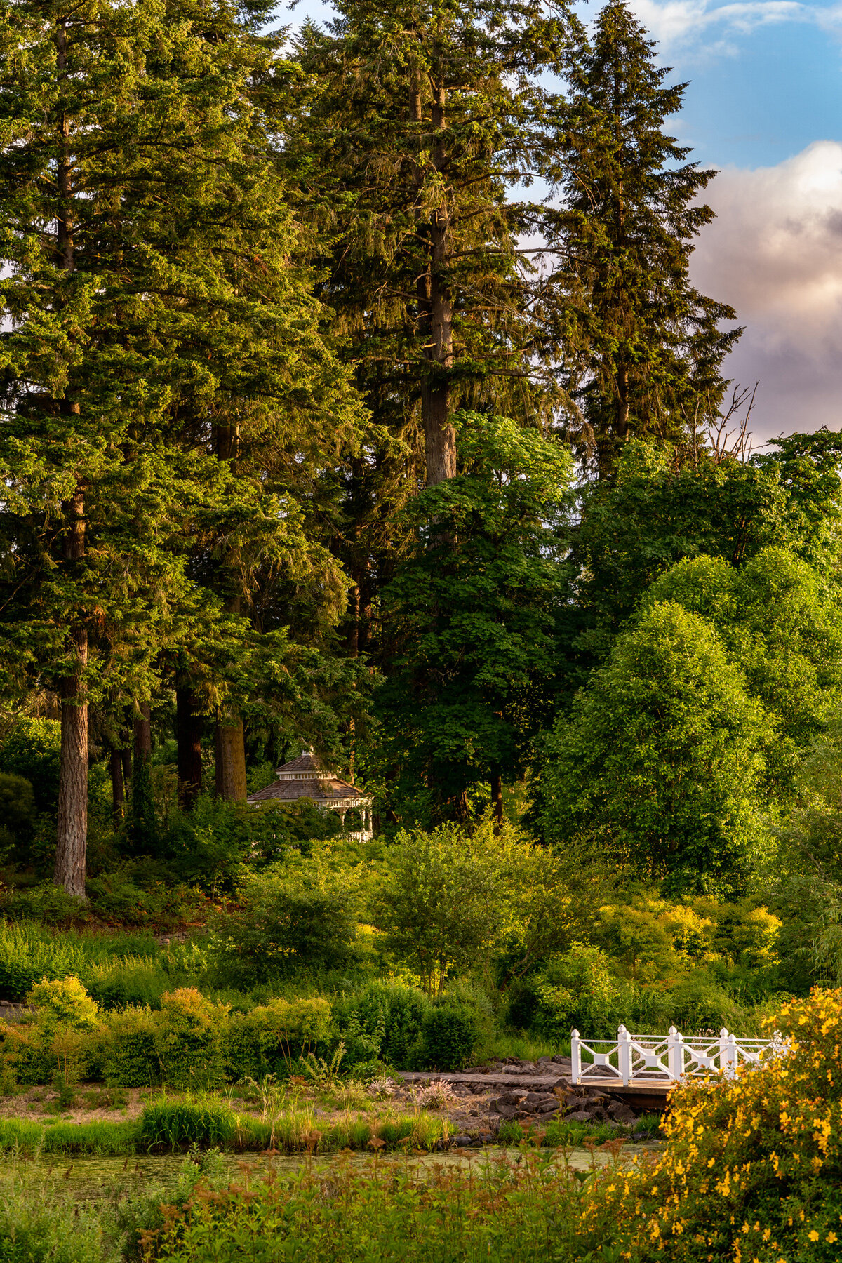 Photographyby Wasim Oakwood Gardens Hillsboro Oregon Spring2020