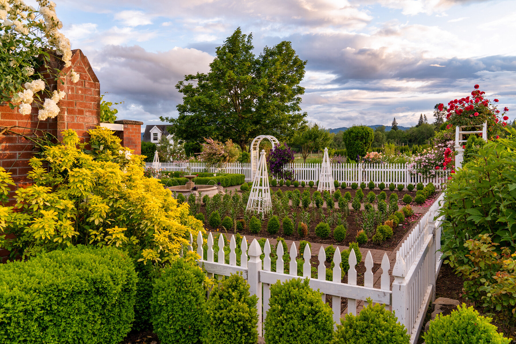 Photographyby Wasim Oakwood Gardens Hillsboro Oregon Spring2020