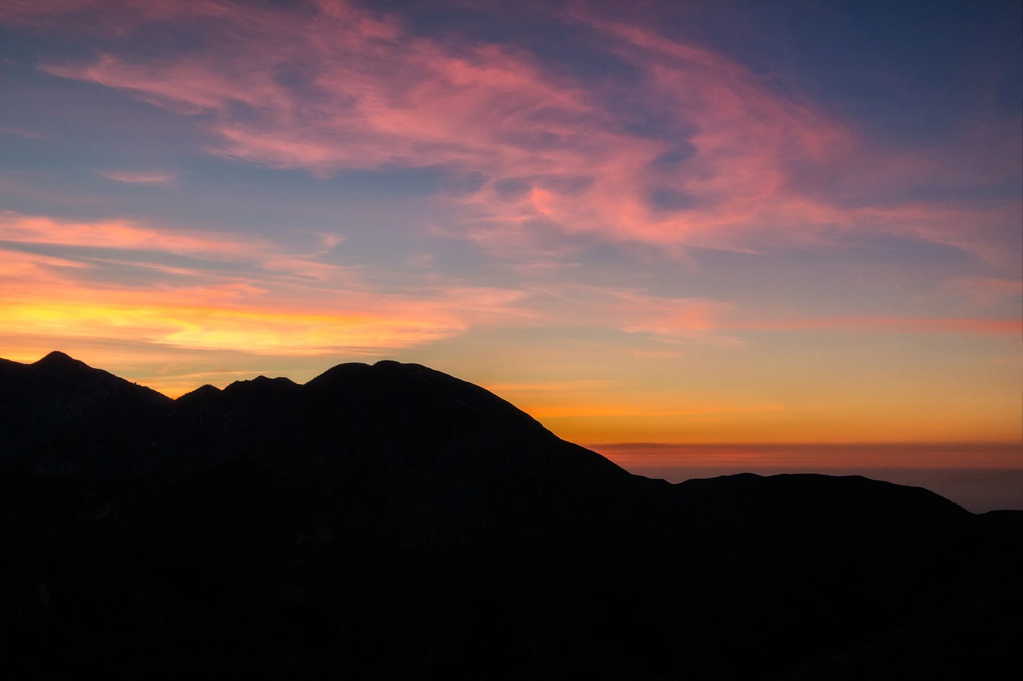 We Saved Rabbits And Got Away With Kidnapping…All In A Day’s Work!