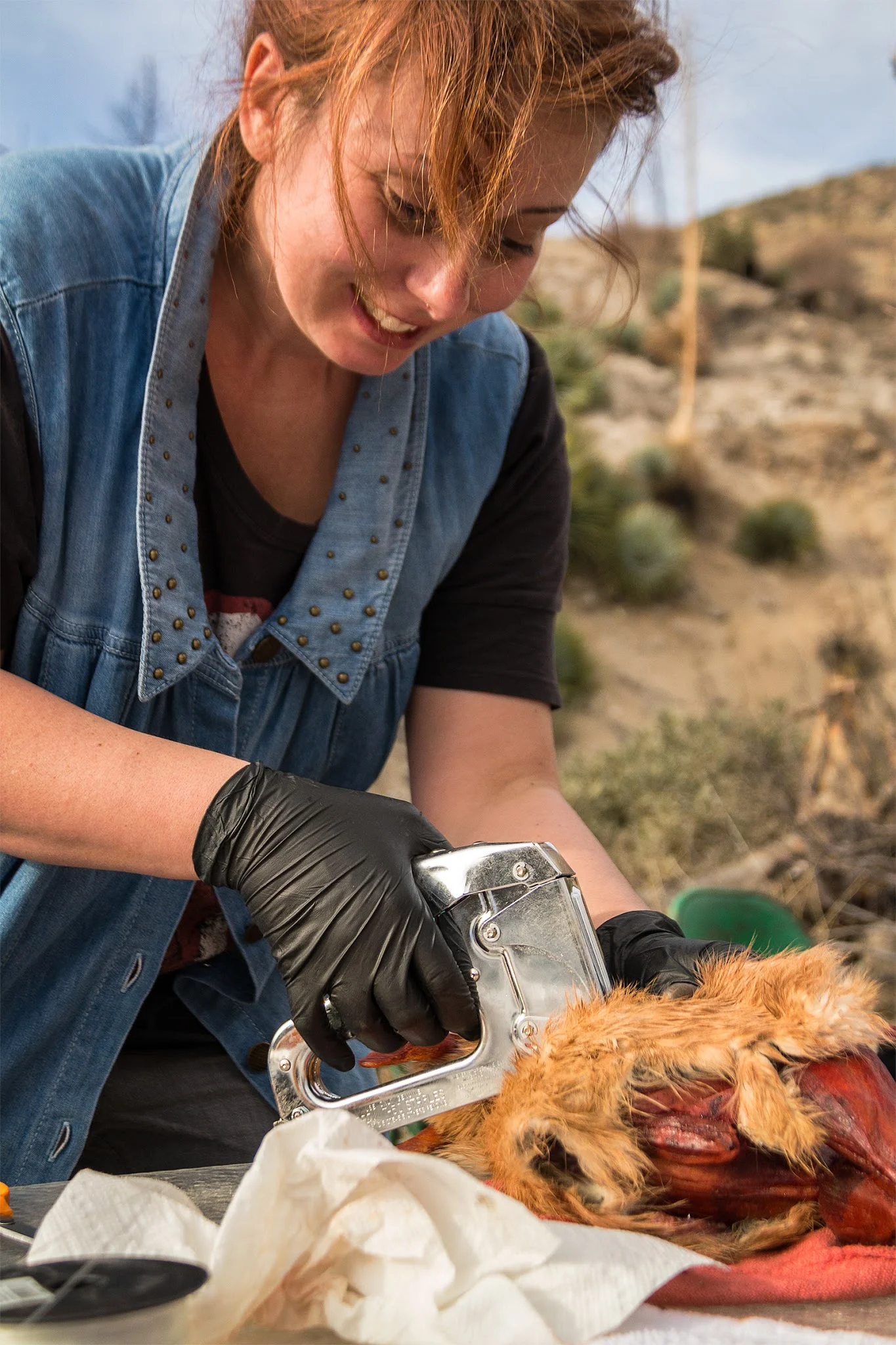 We Saved Rabbits And Got Away With Kidnapping…All In A Day’s Work!