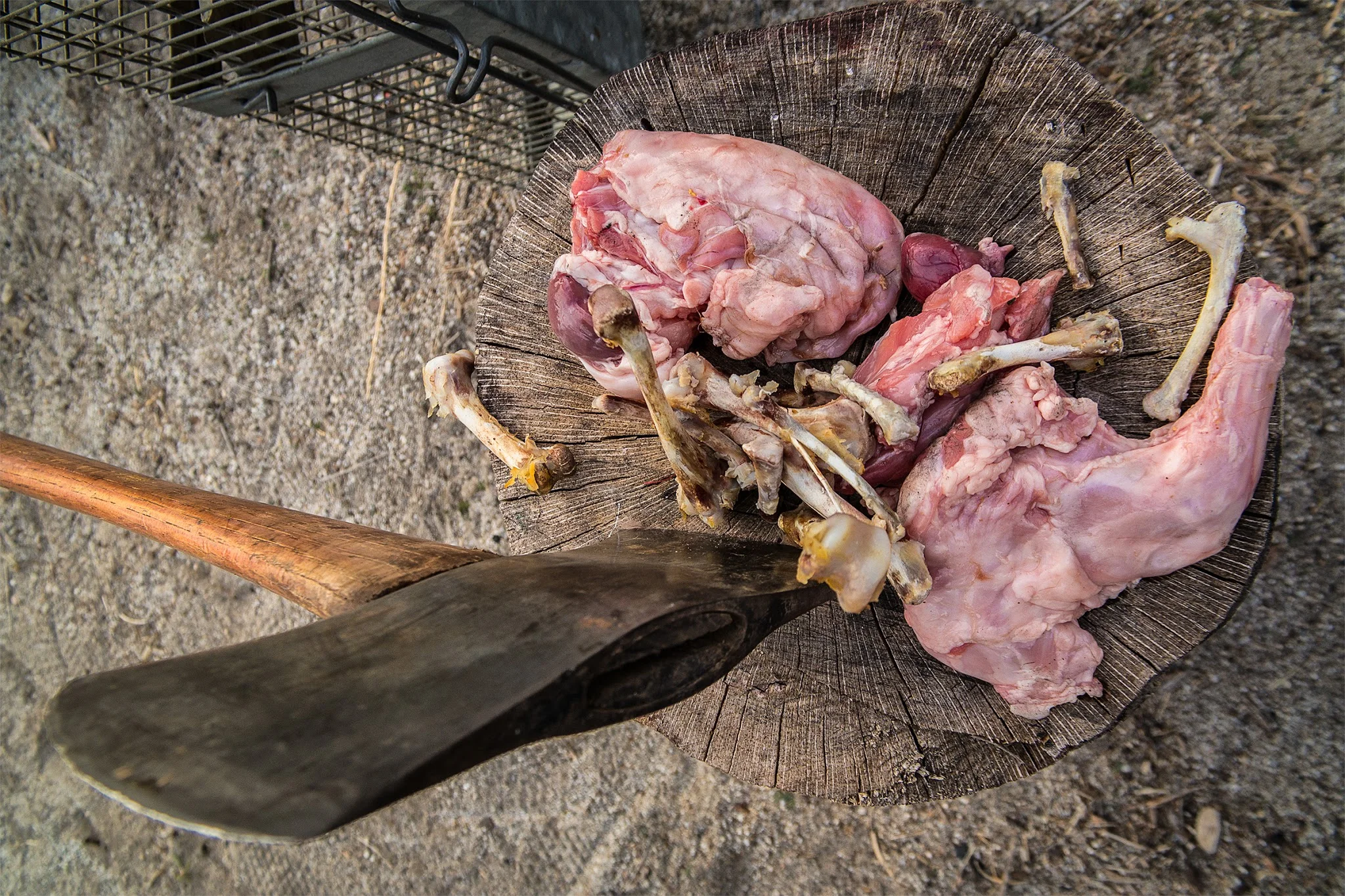 We Saved Rabbits And Got Away With Kidnapping…All In A Day’s Work!