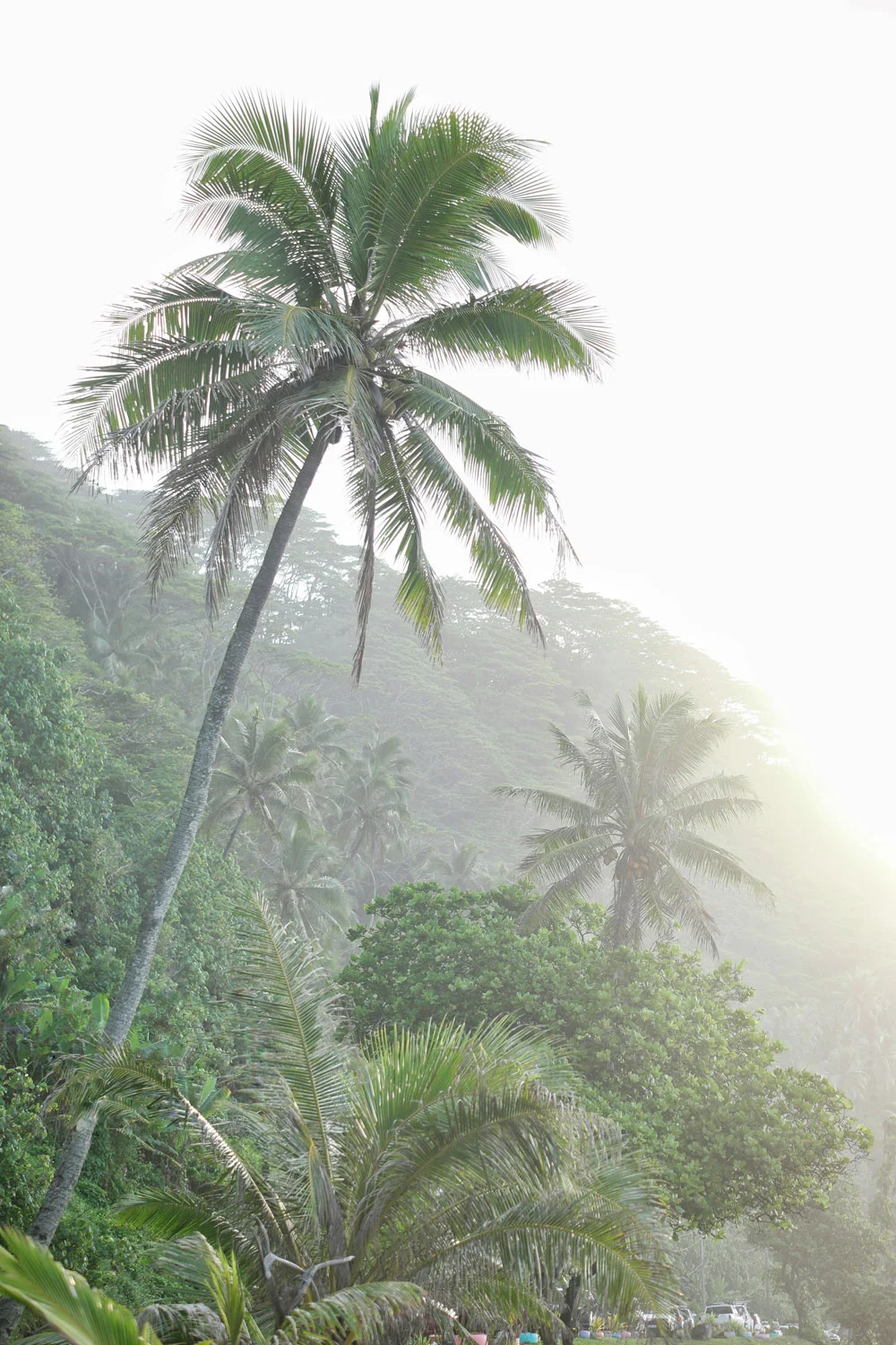 Project Beyond My Expectations. Shooting Virtual Reality For The First Time. In Tahiti!