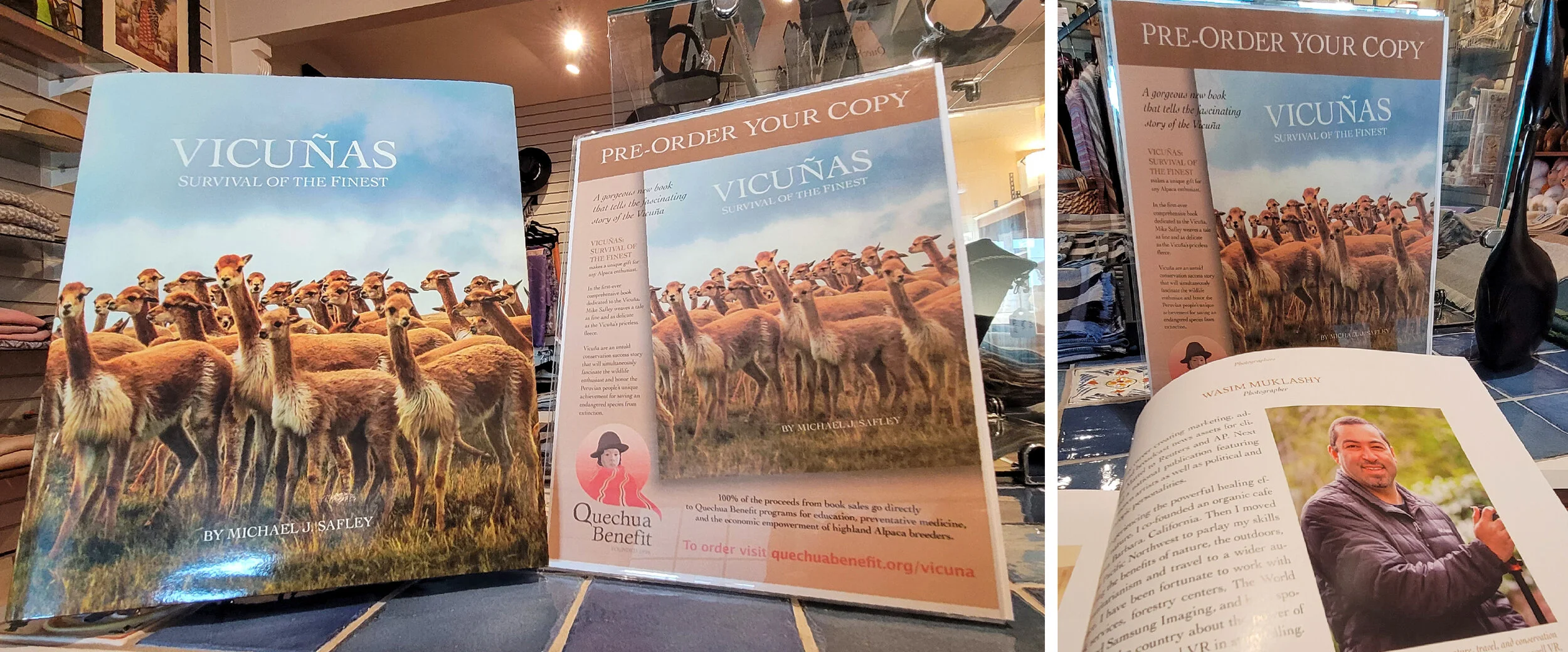 Vicuna Book